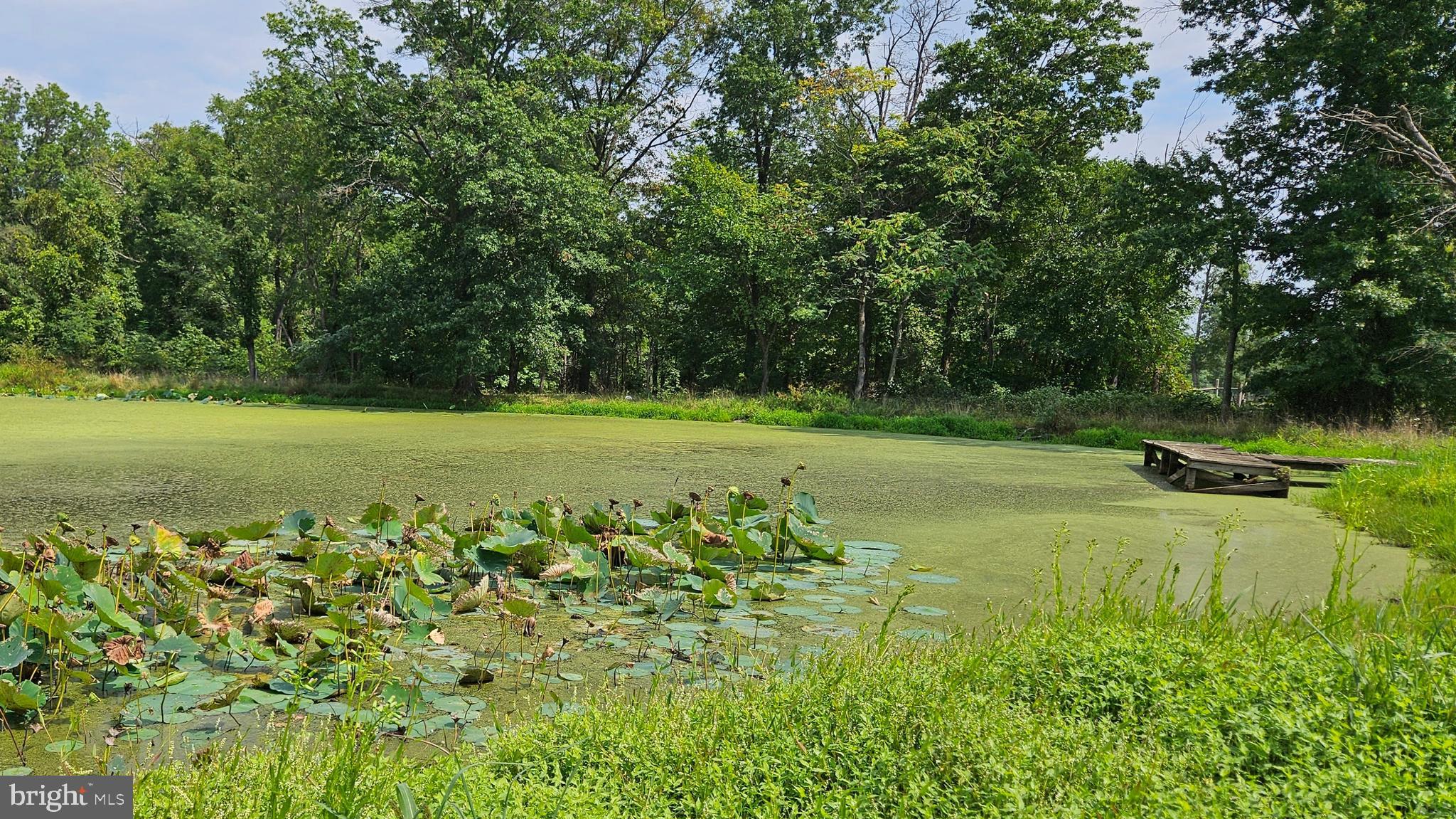 BLUEMONT - Residential