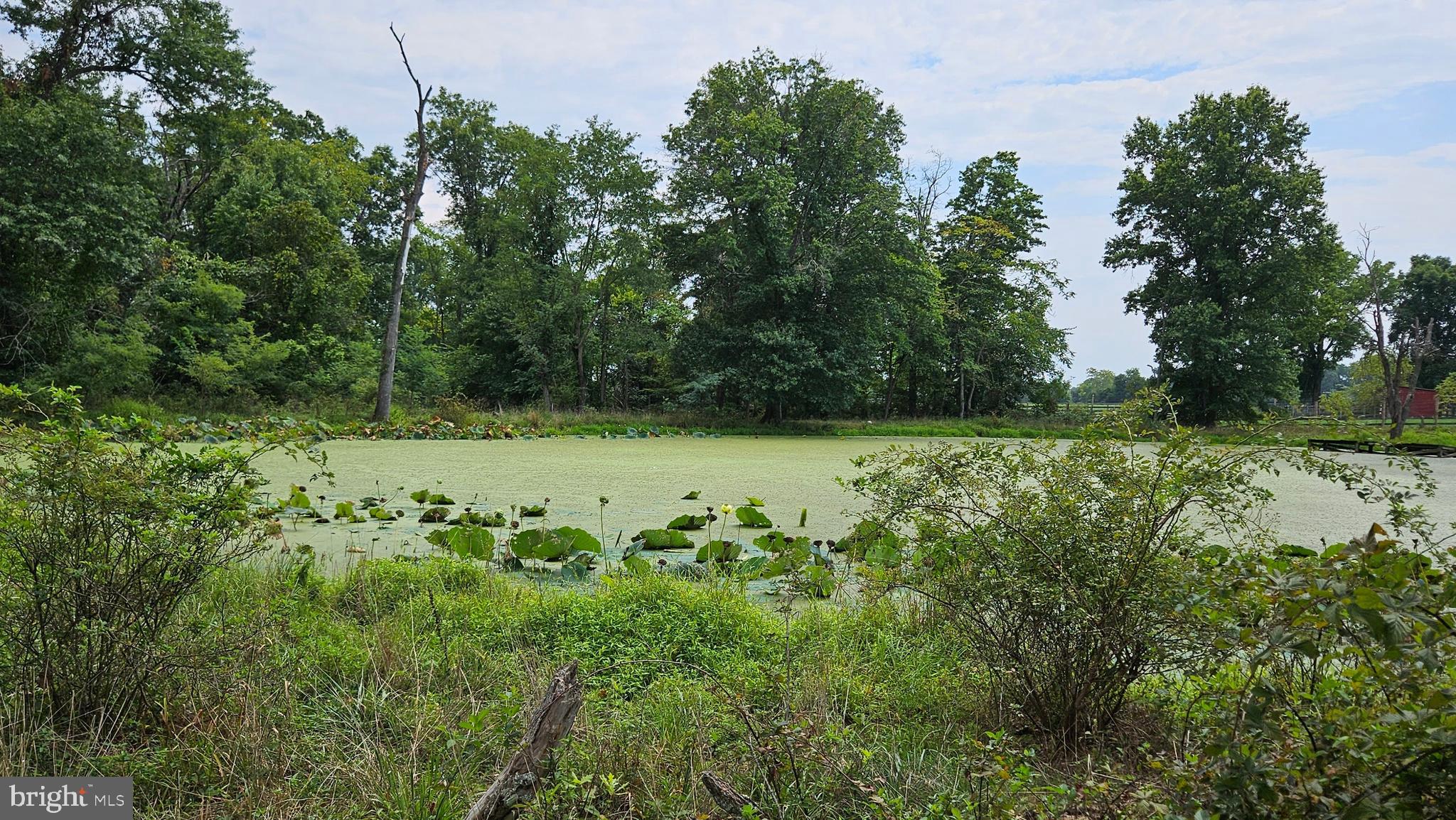 BLUEMONT - Residential