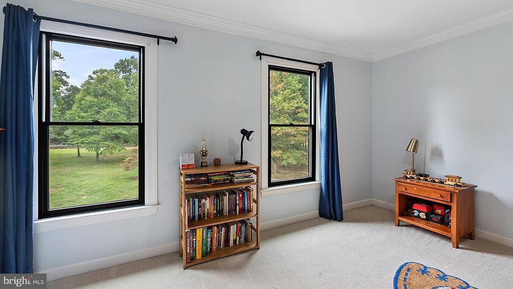 BLUEMONT - Residential