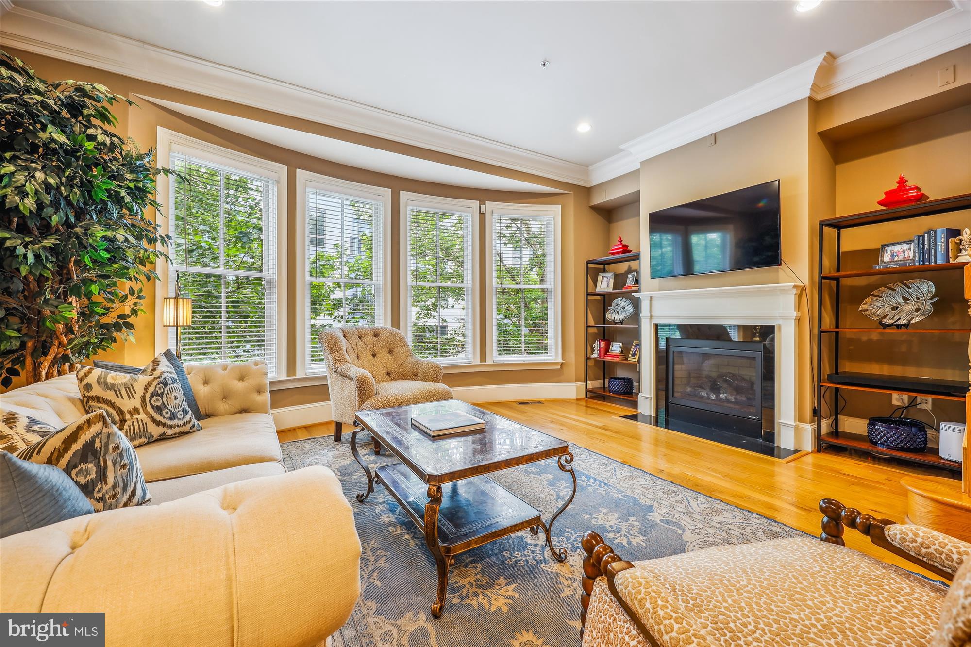 PARK POTOMAC - Residential