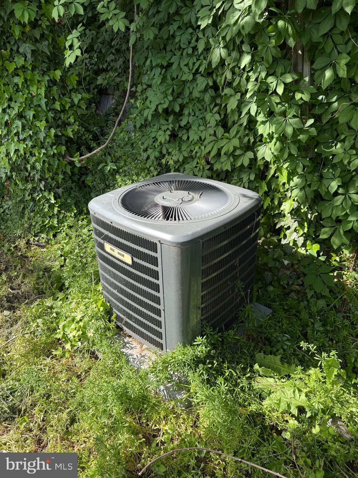 WILM #15 - Commercial Sale