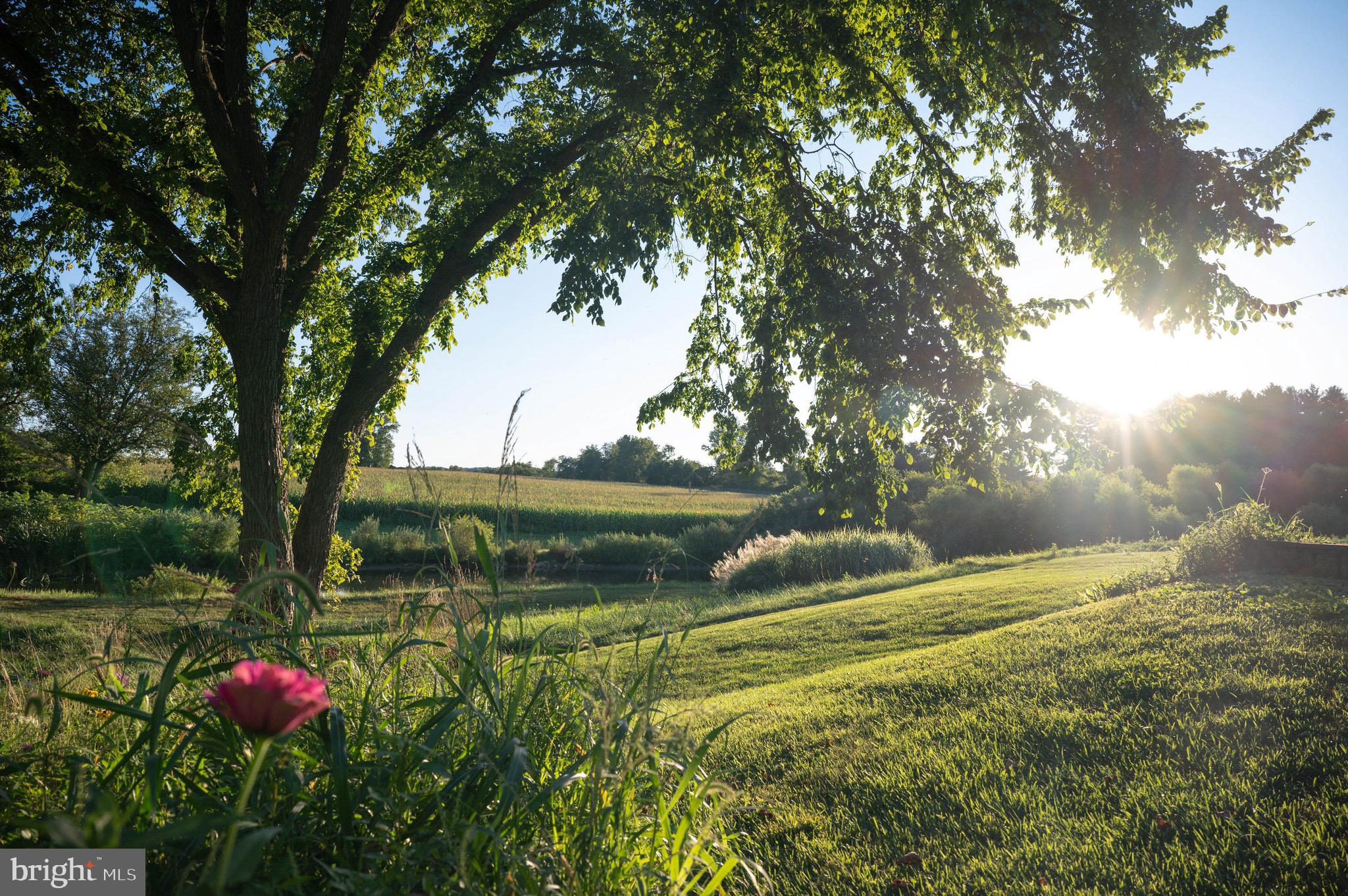WORTHINGTON VALLEY - Residential