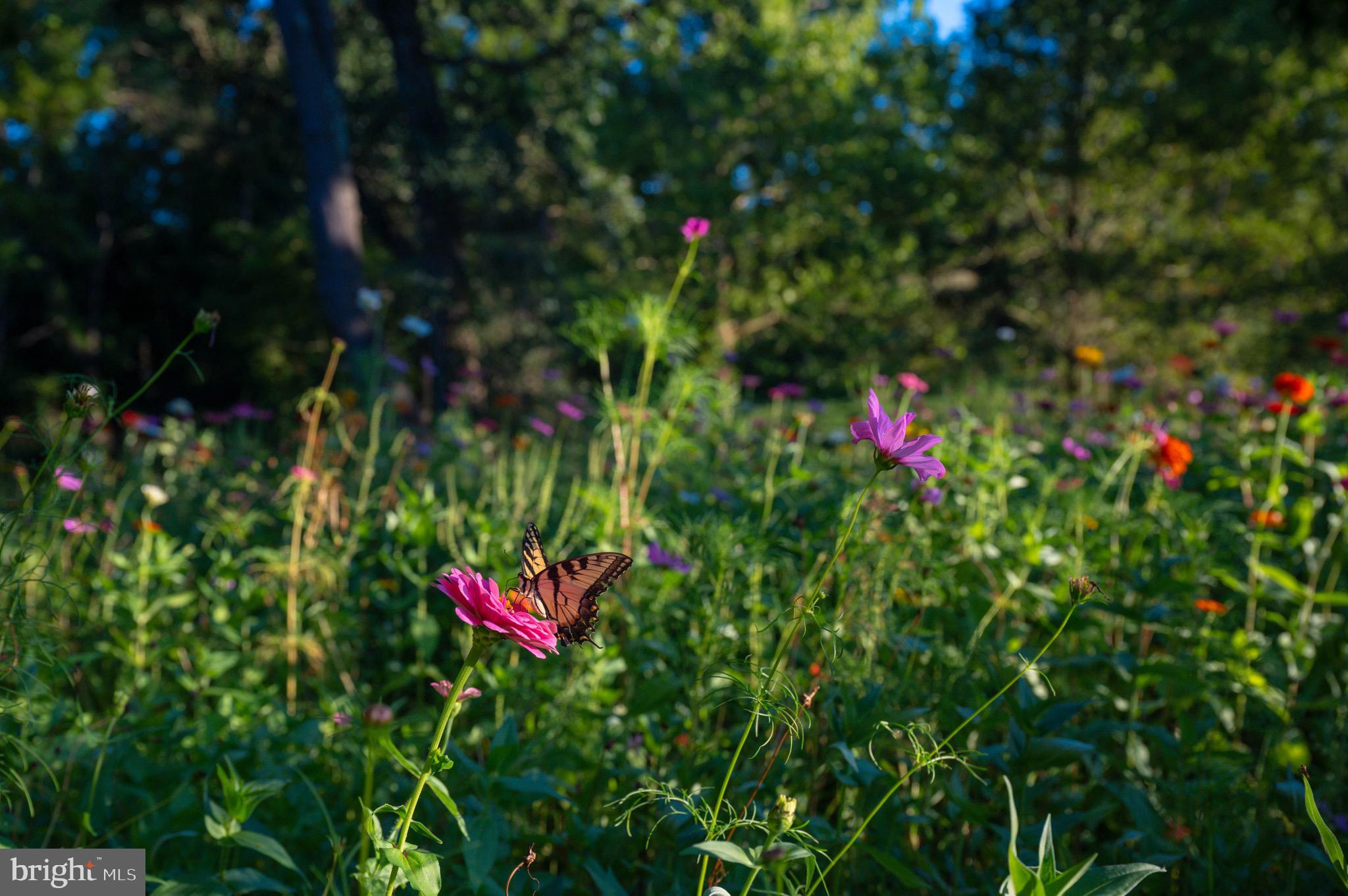 WORTHINGTON VALLEY - Residential