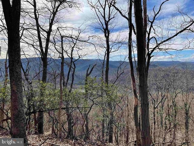 81.5 Acres HOPKINS GAP RD