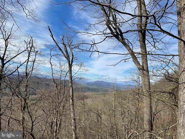 81.5 Acres HOPKINS GAP RD