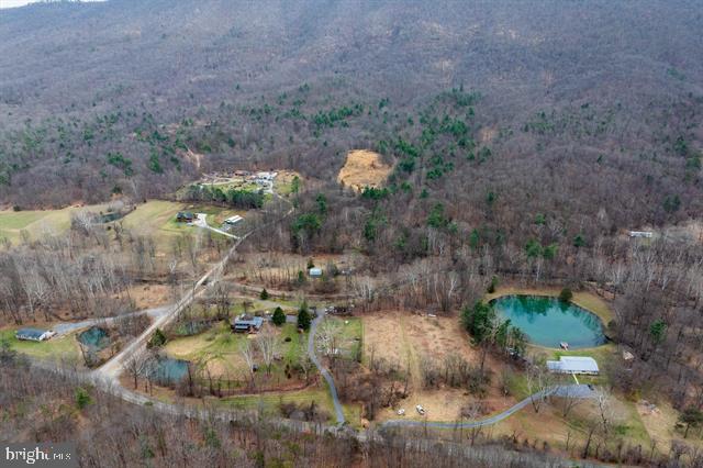 81.5 Acres HOPKINS GAP RD