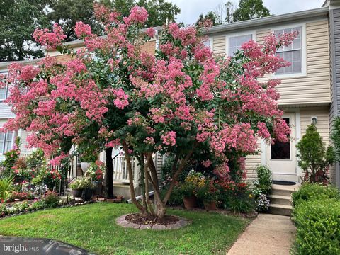 32 LONG GREEN COURT SILVER SPRING MD 20906