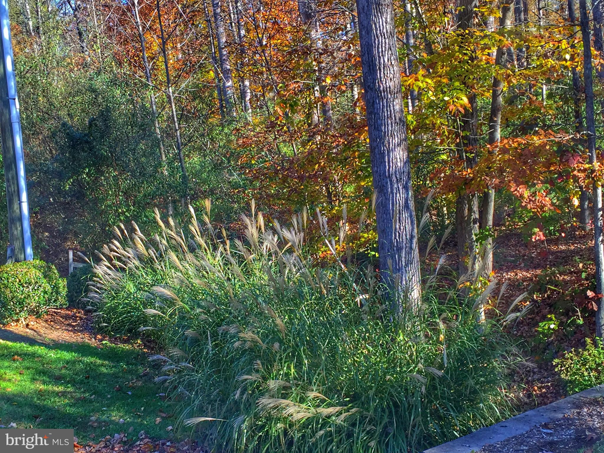 QUAIL RIDGE - Residential