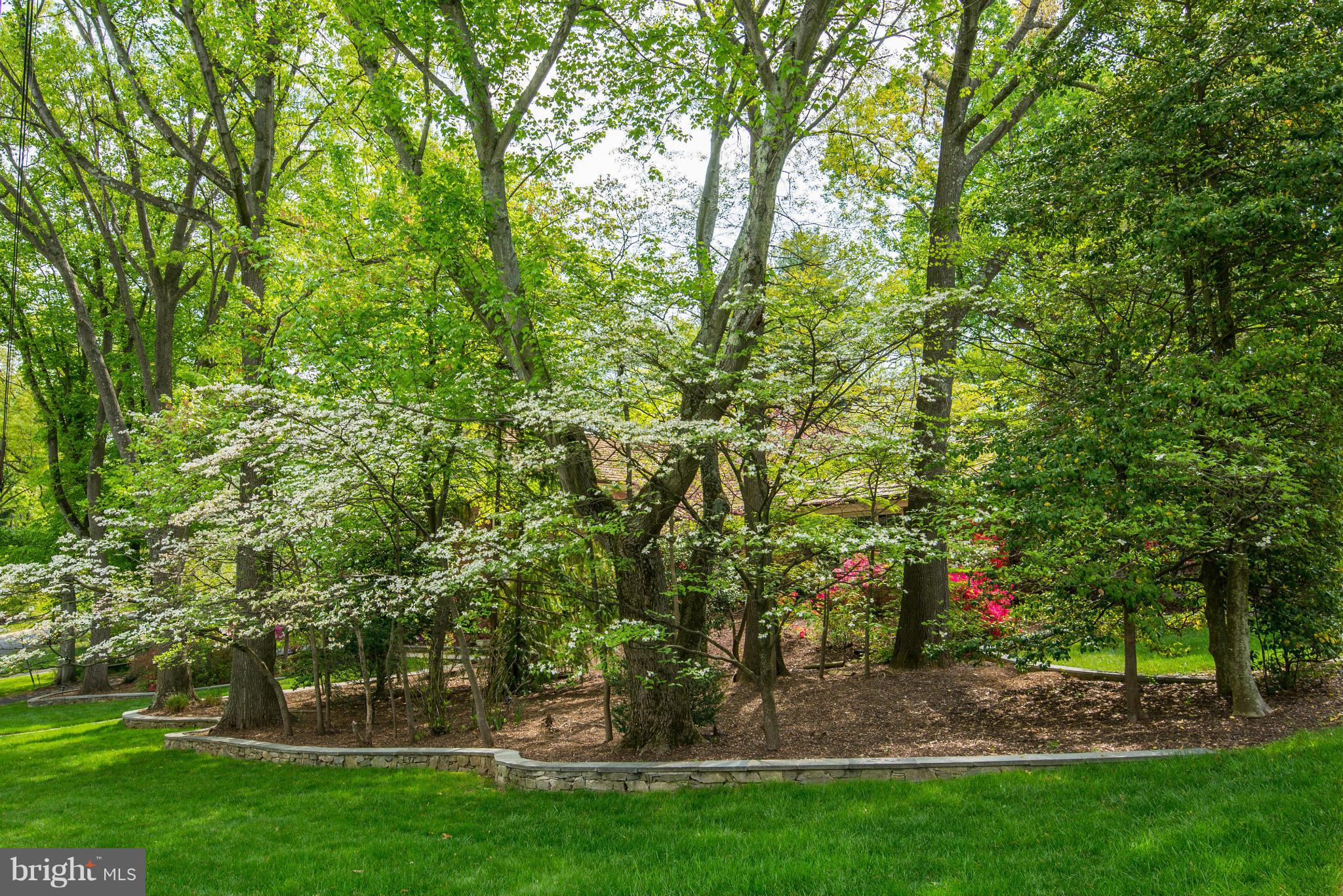 ASHLEIGH - Residential