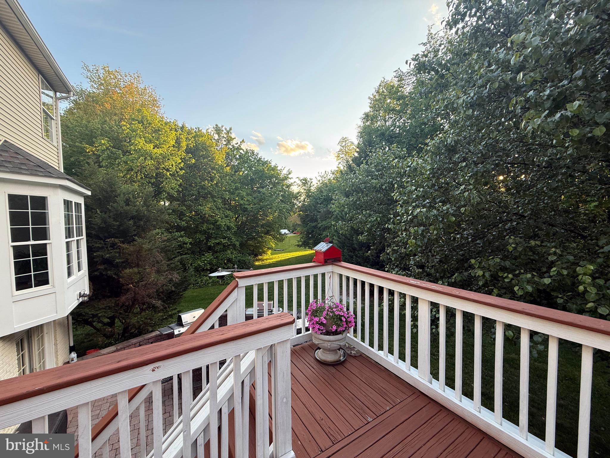 6704 MOSSY BANK LANE