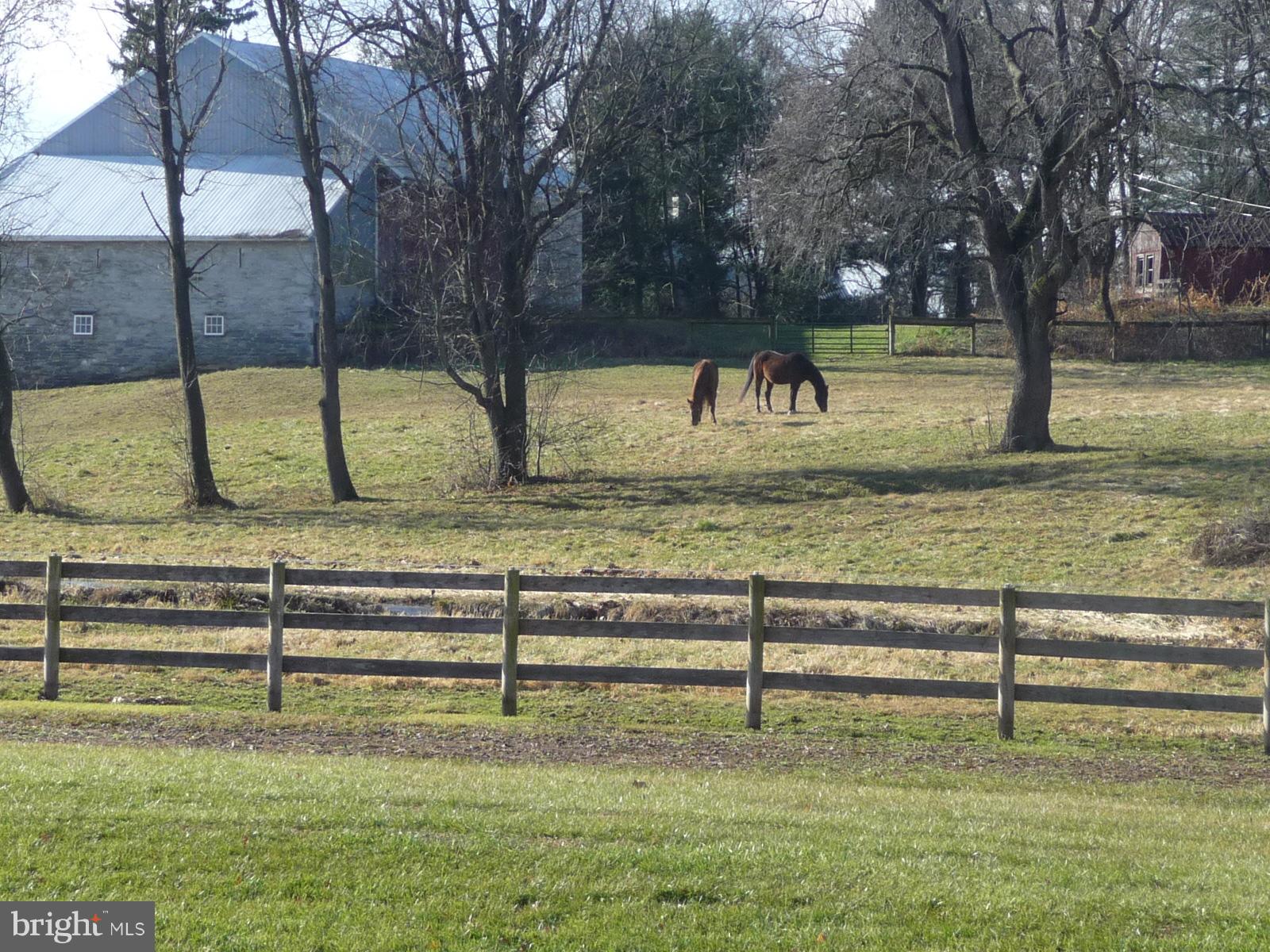 ROCKLEDGE - Residential