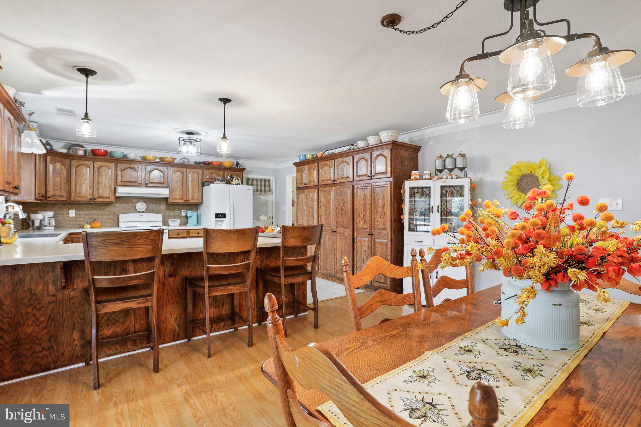 SHADYSIDE - Residential