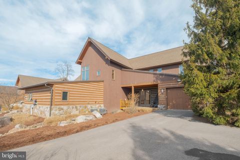 14 RIDGE ROAD 18 MCHENRY MD 21541