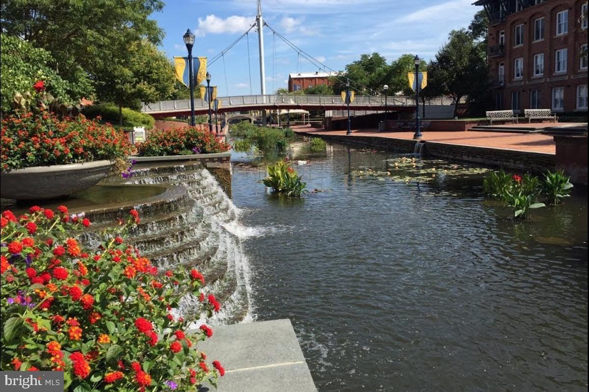 COMMONS OF AVALON - Residential Lease