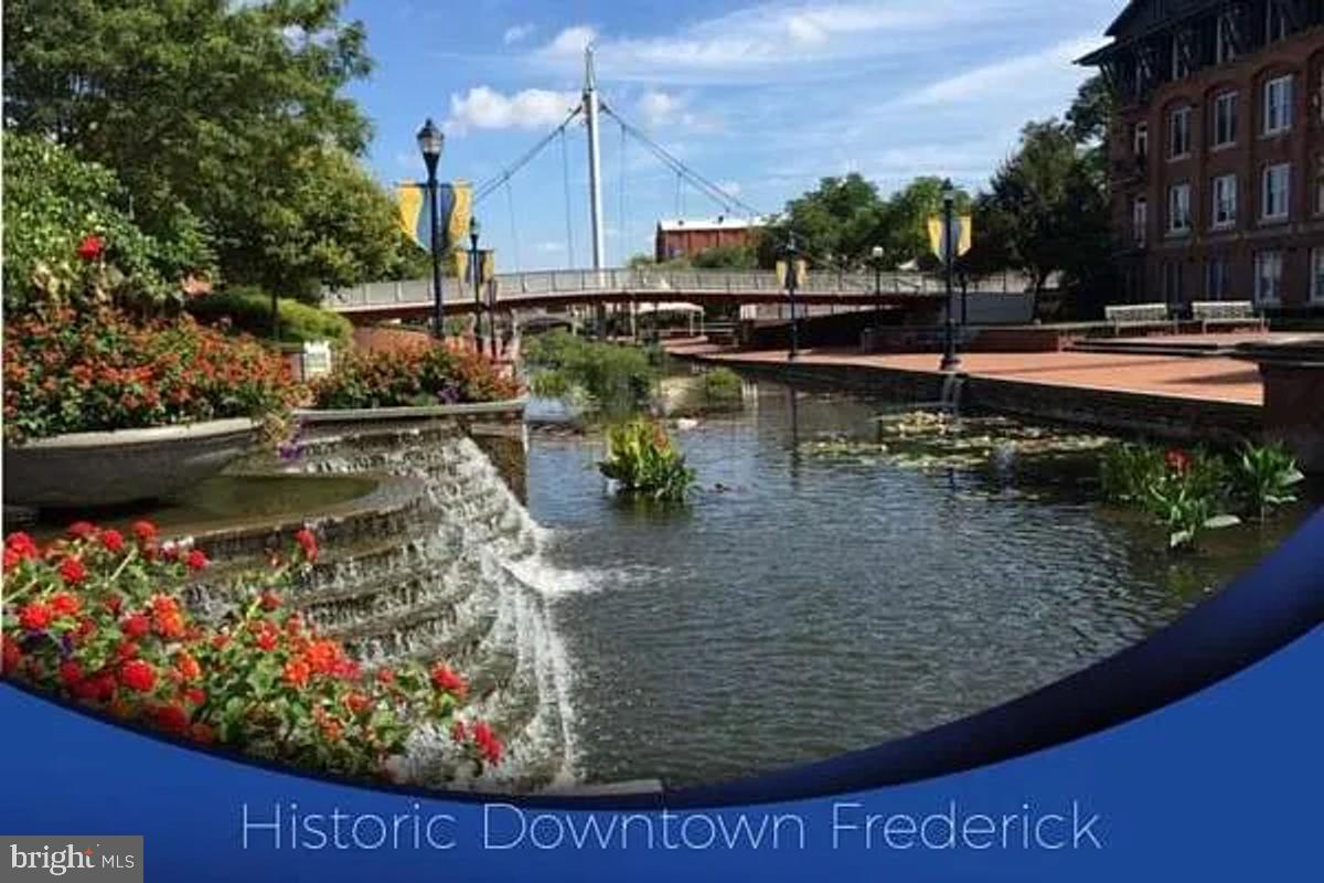 COMMONS OF AVALON - Residential Lease