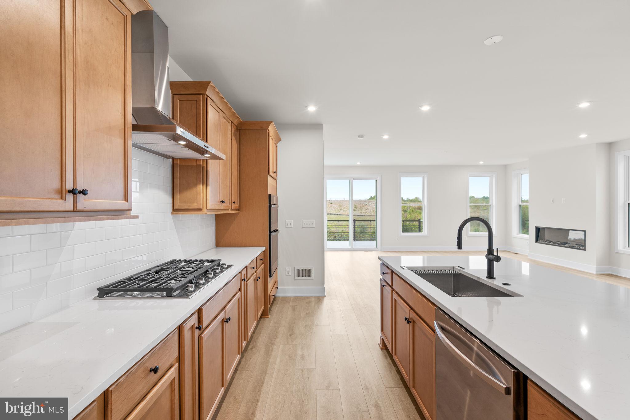 HIATT POINTE AT SNOWDEN BRIDGE - Residential