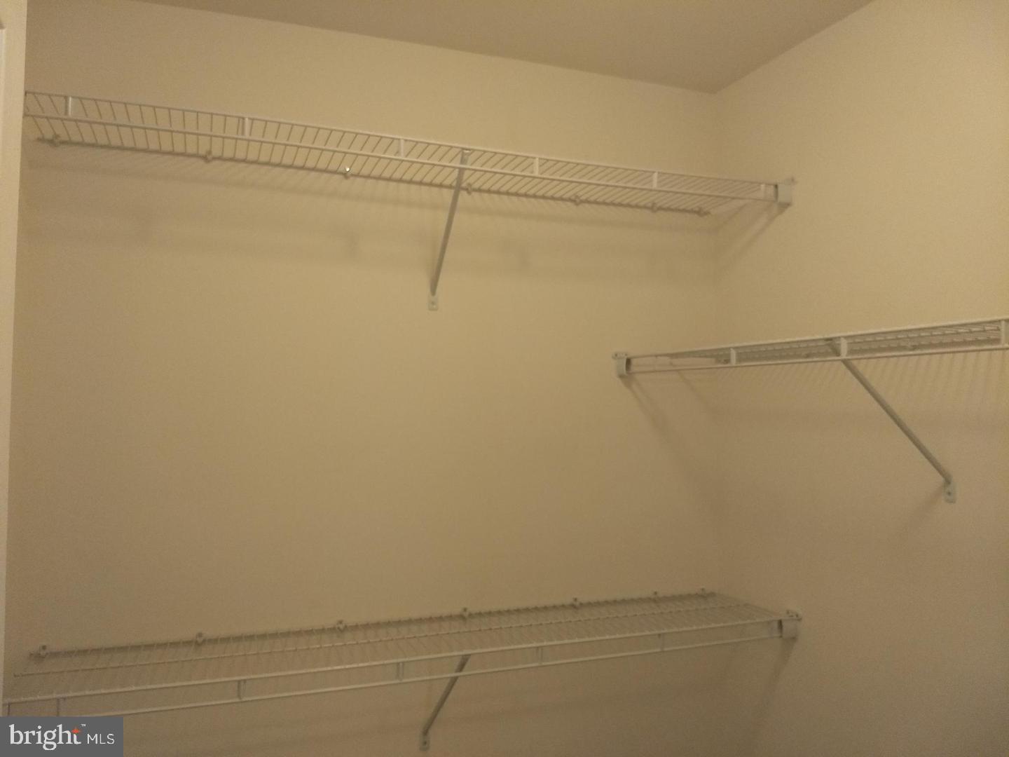 NORTH SHORE FOREST - Residential Lease