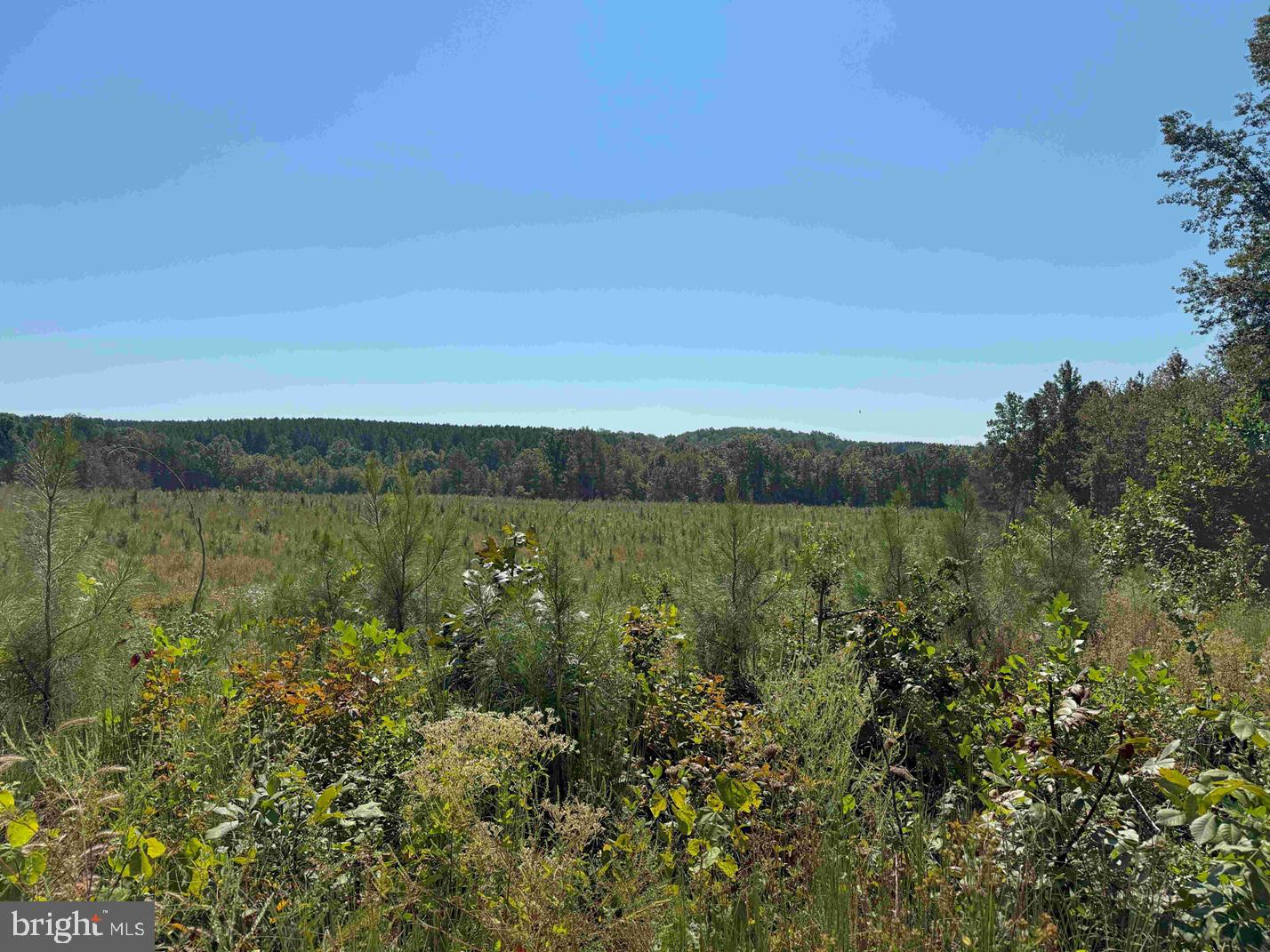 COMMUNITY HOUSE ROAD (TRACT: JR RAGLAND-HOLLAND-2)