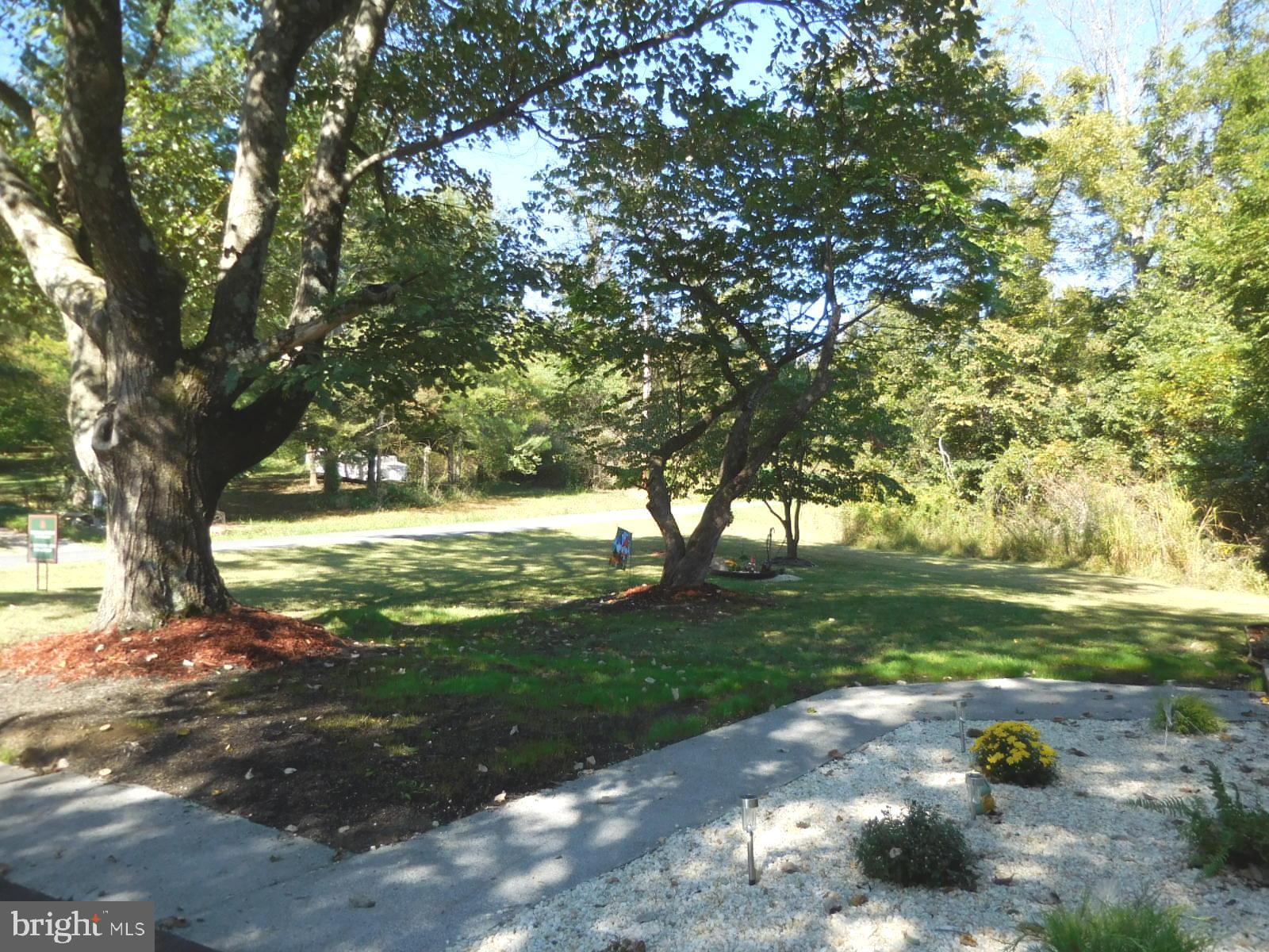 230 SHENANDOAH TRAIL