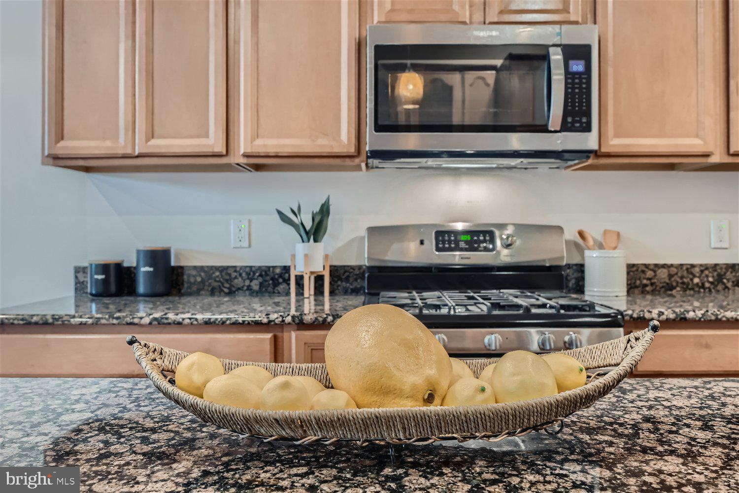 LOCUST POINT - Residential