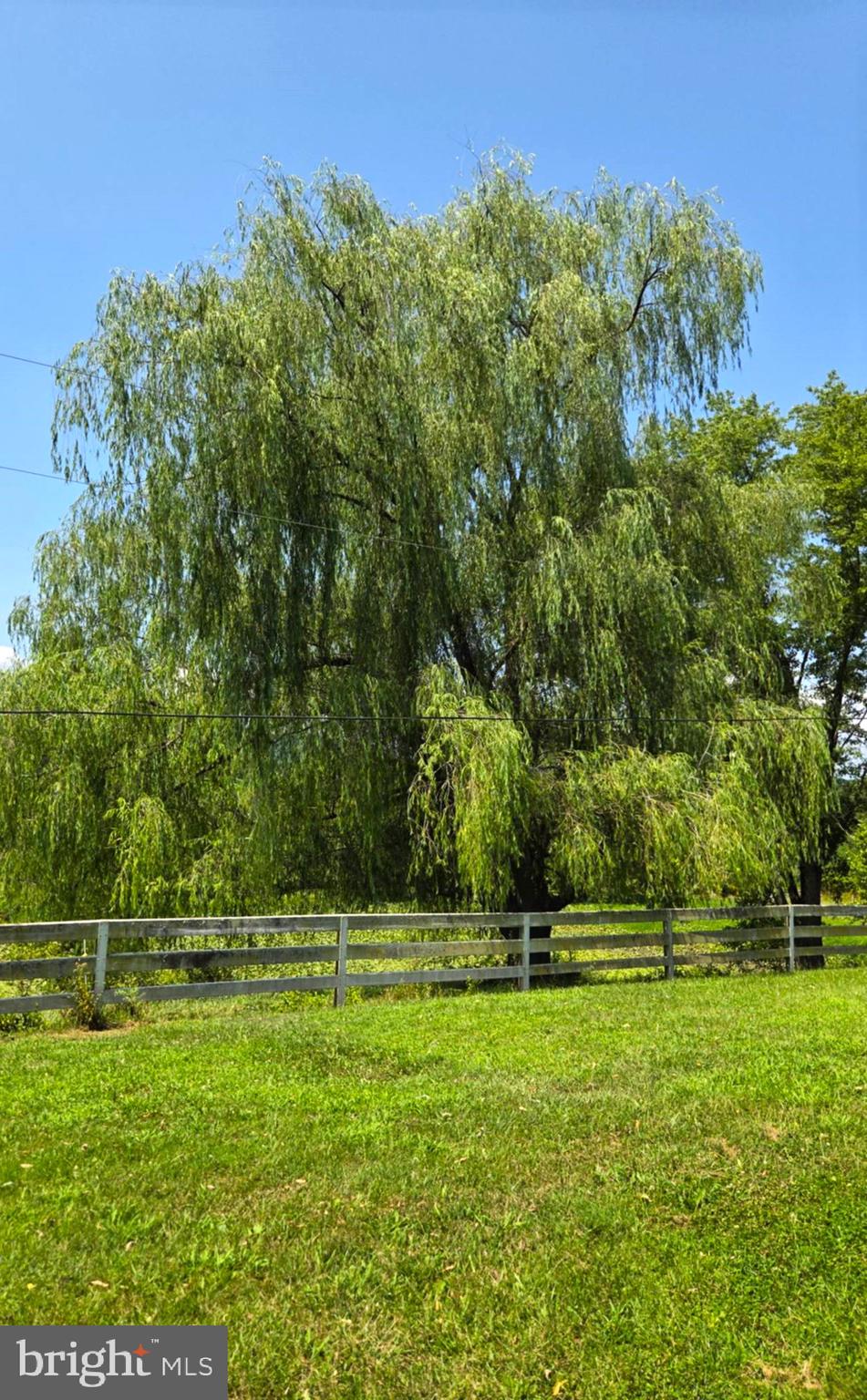 NONE AVAILABLE - Farm