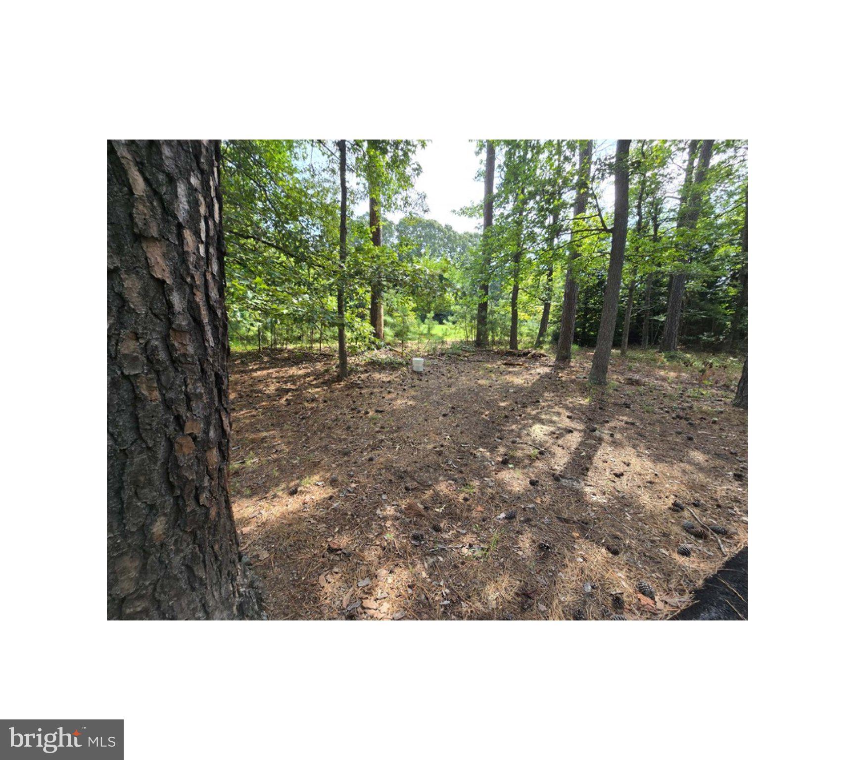 205 PORT TOBACCO ROAD