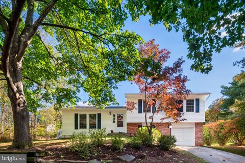 9244 BRUSH RUN COLUMBIA MD 21045