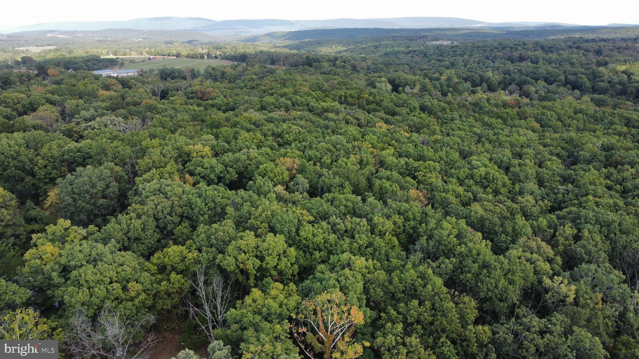 NONE AVAILABLE - Land