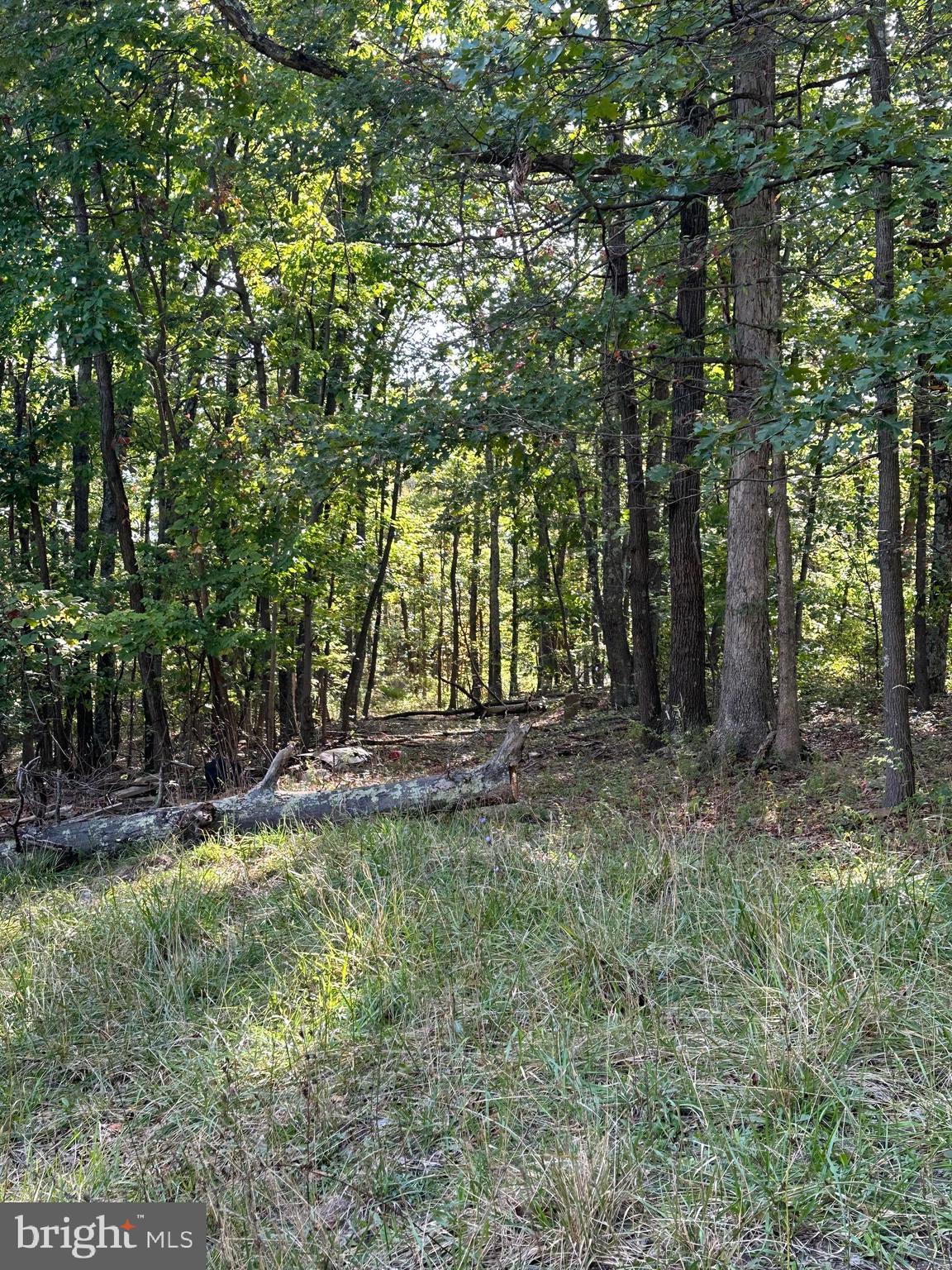 NONE AVAILABLE - Land