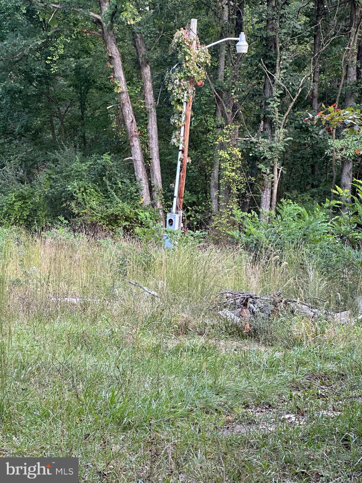 NONE AVAILABLE - Land