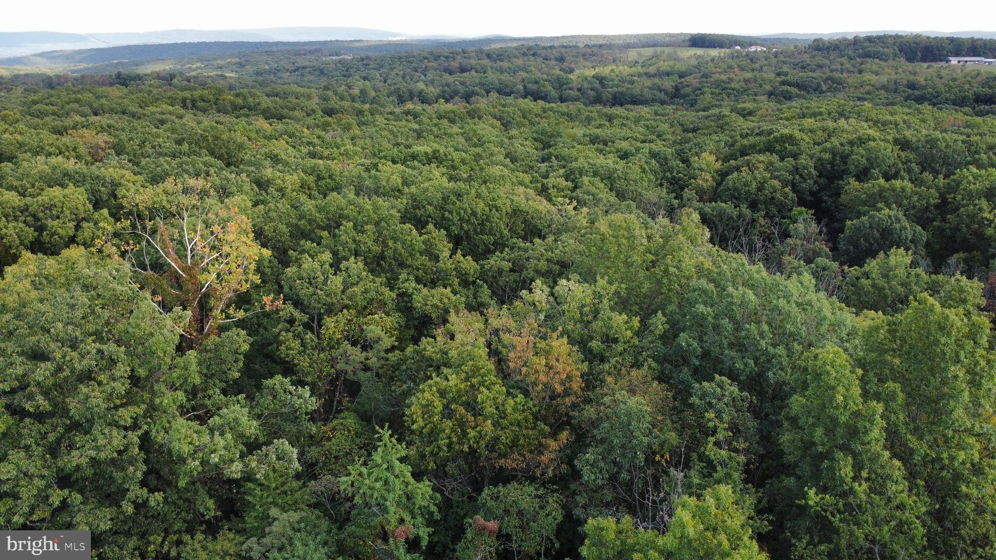 NONE AVAILABLE - Land