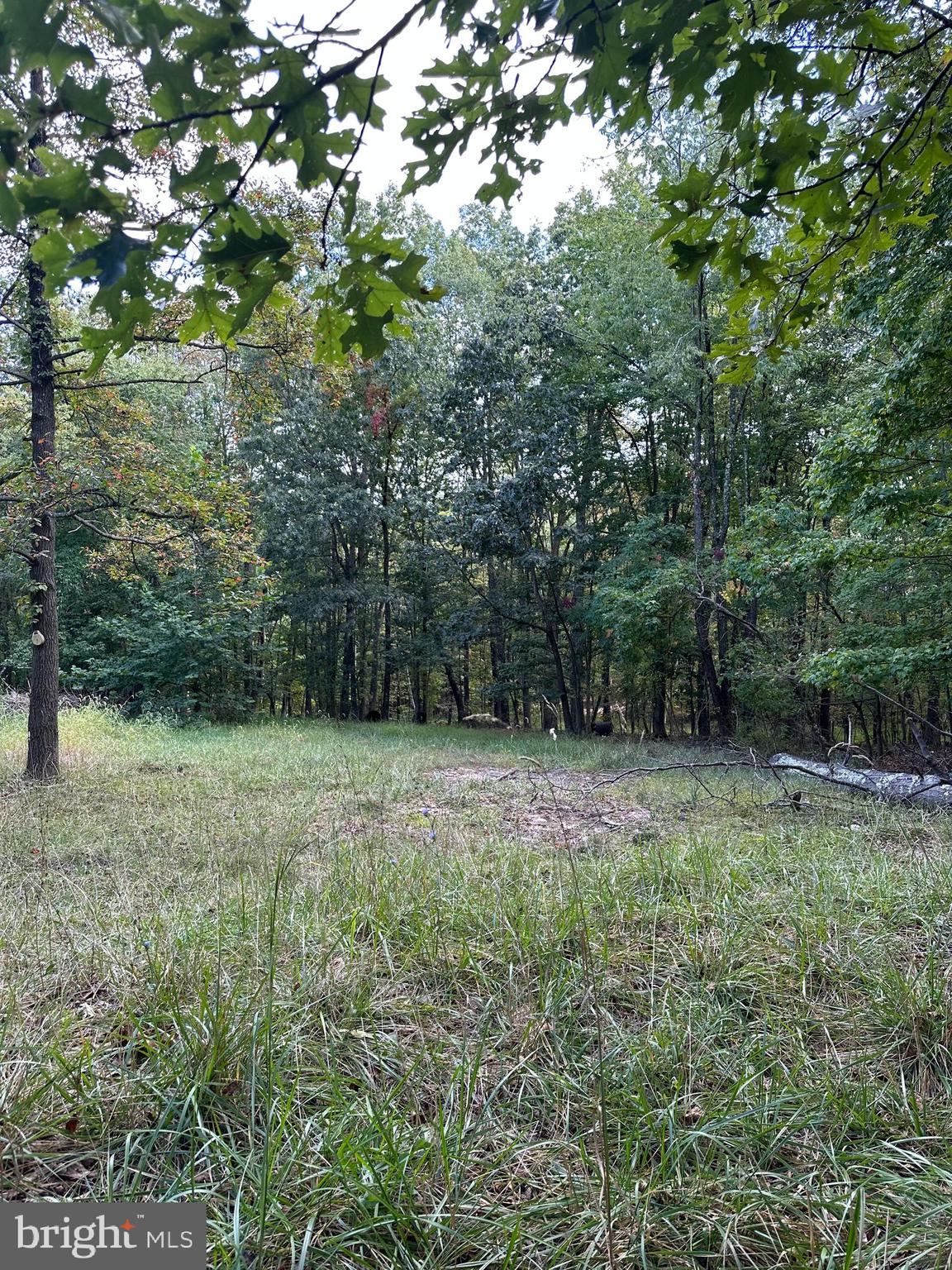 NONE AVAILABLE - Land