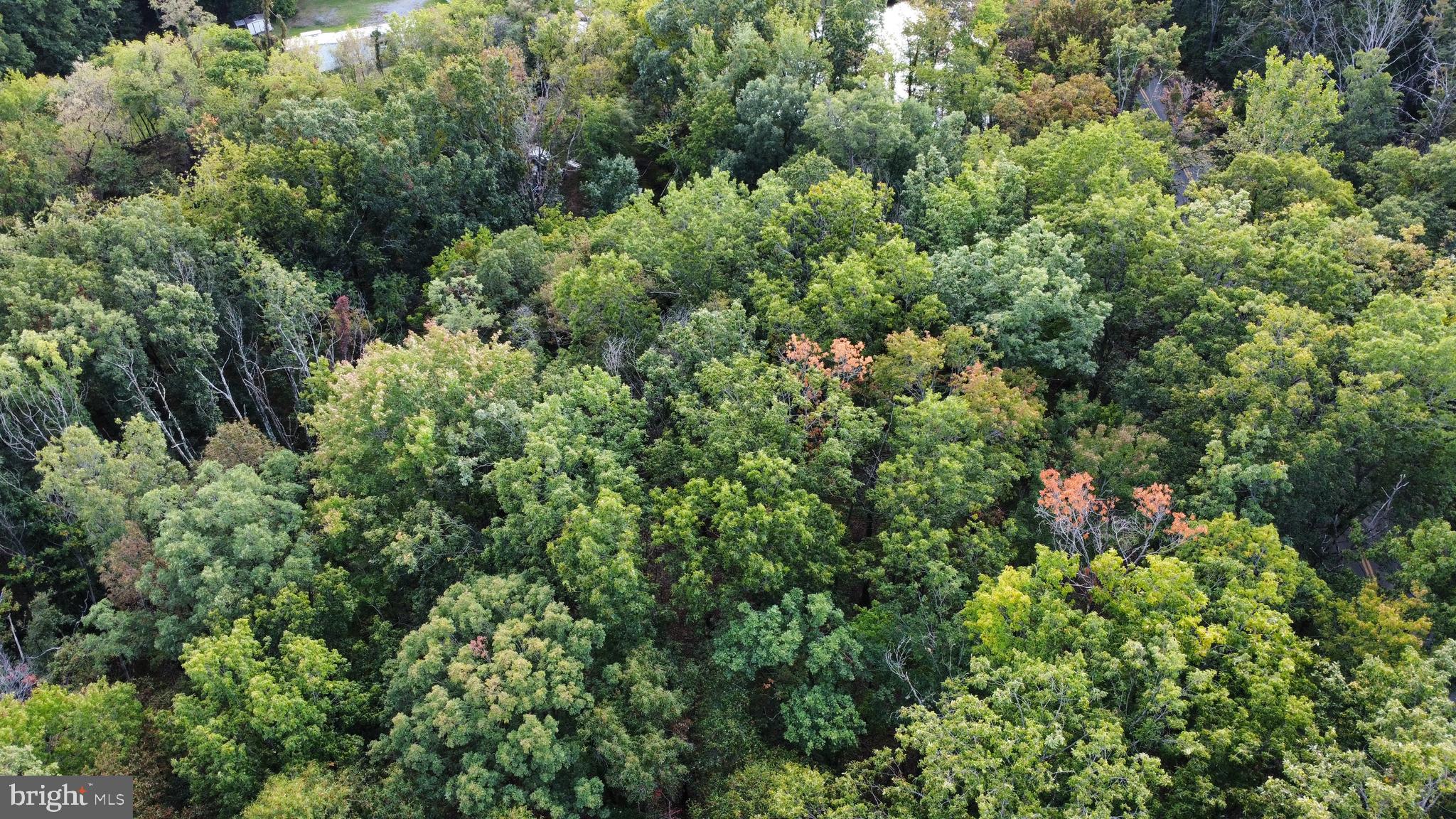 NONE AVAILABLE - Land