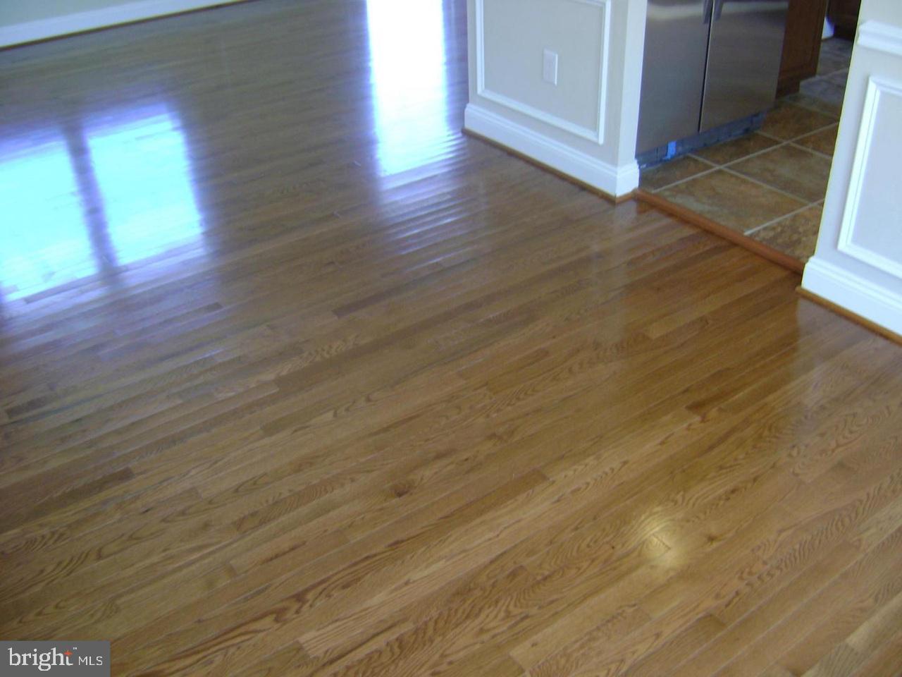 HOLLAWAY ESTATES - Residential