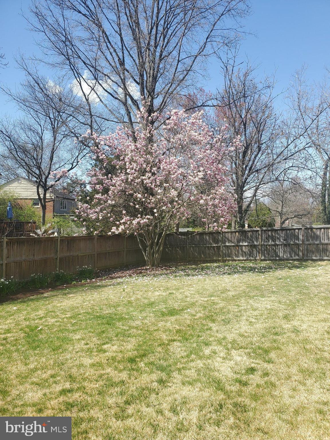 ASHBURTON - Residential