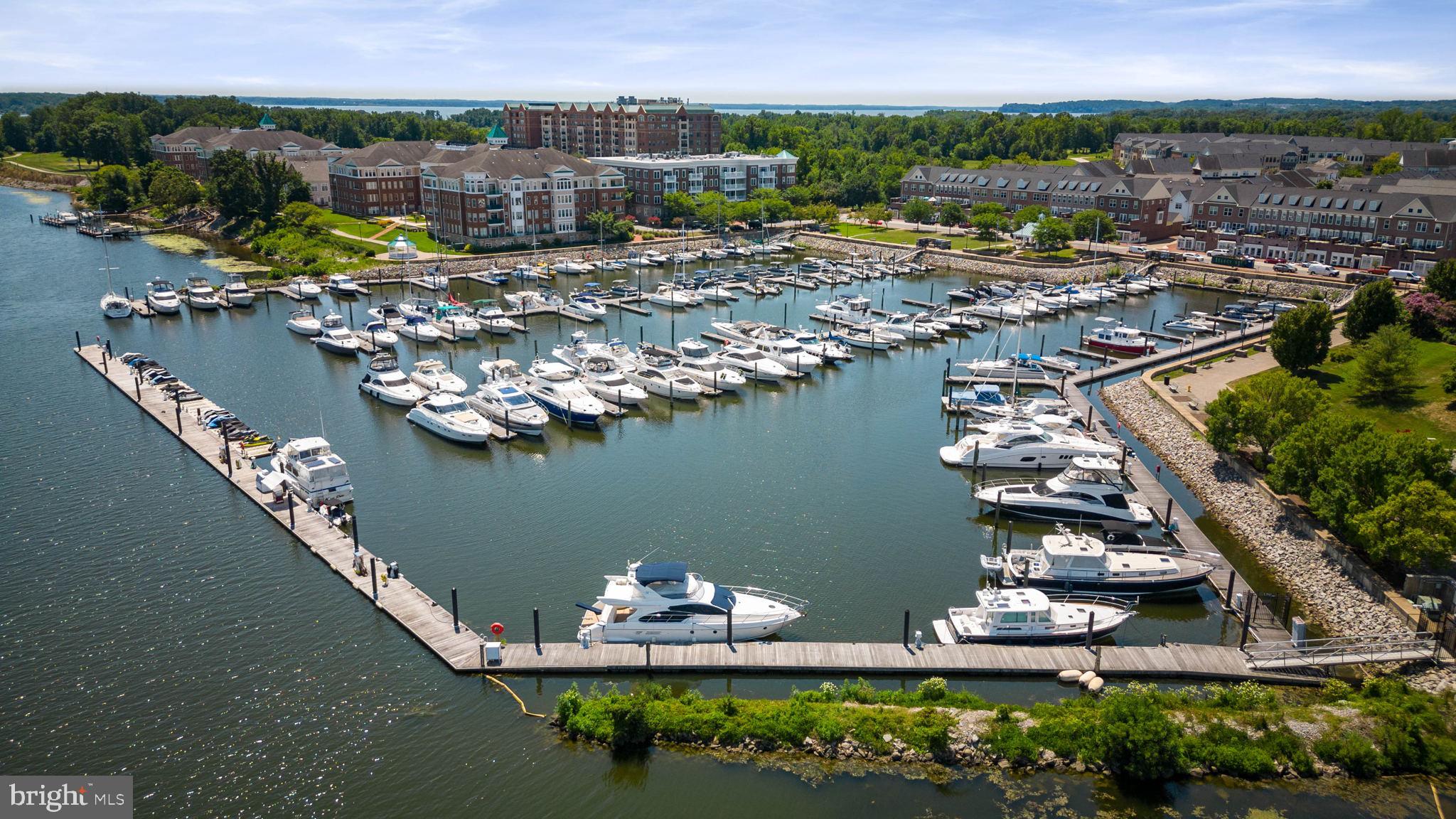 BELMONT TOWN CENTER - Residential