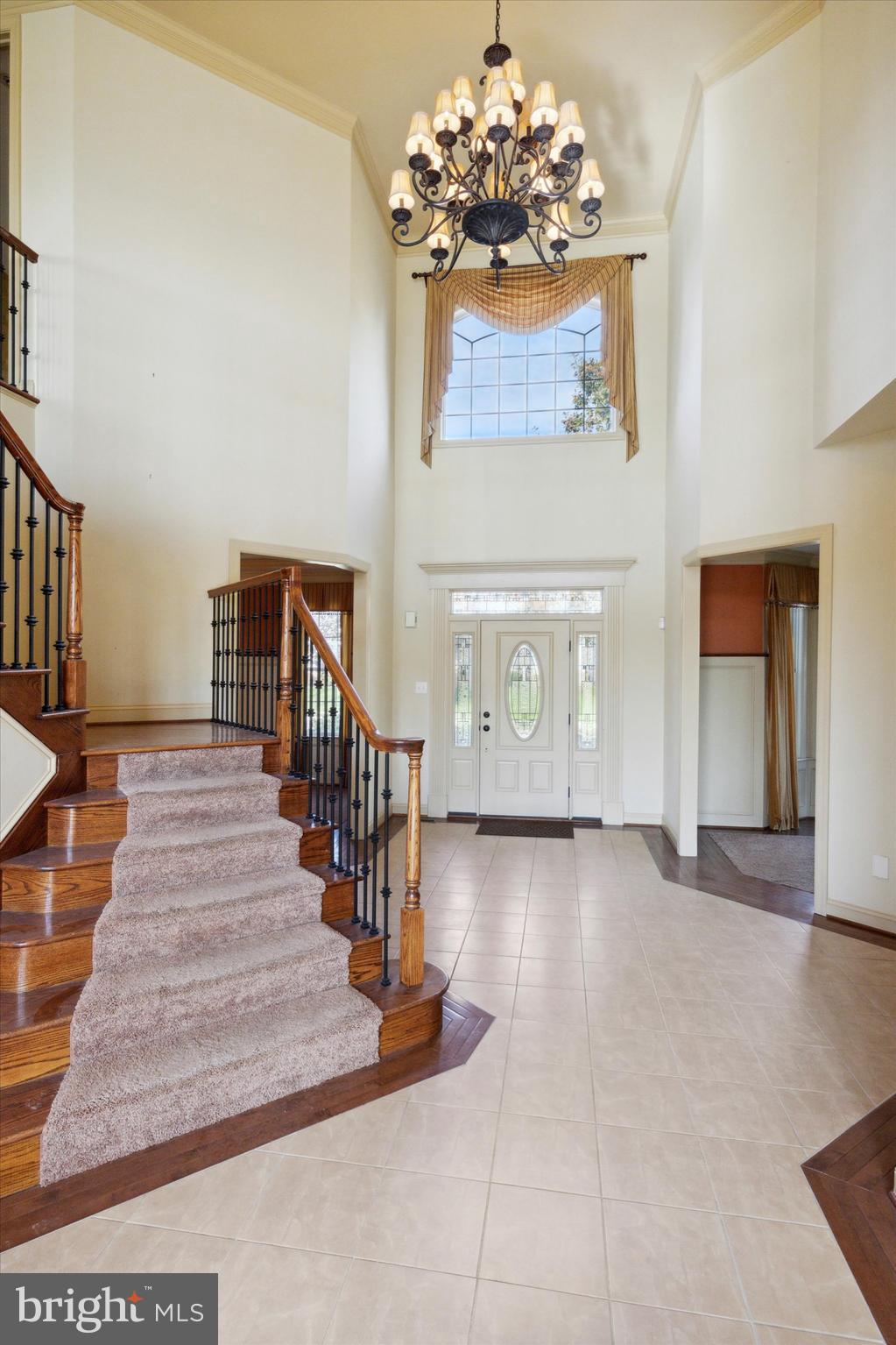 CANNON HILL - Residential