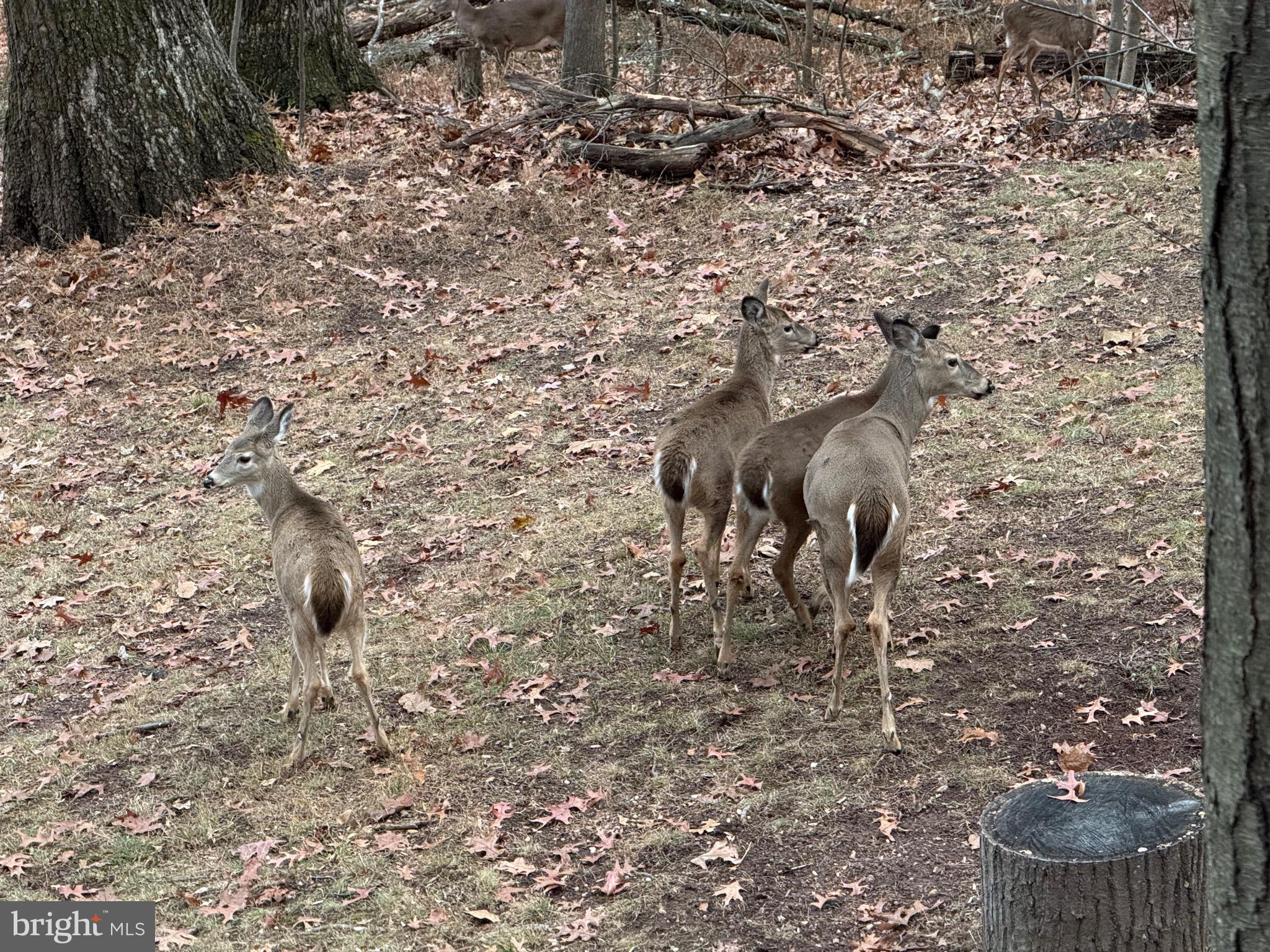 SLEEPY HOLLOW S/D - Residential