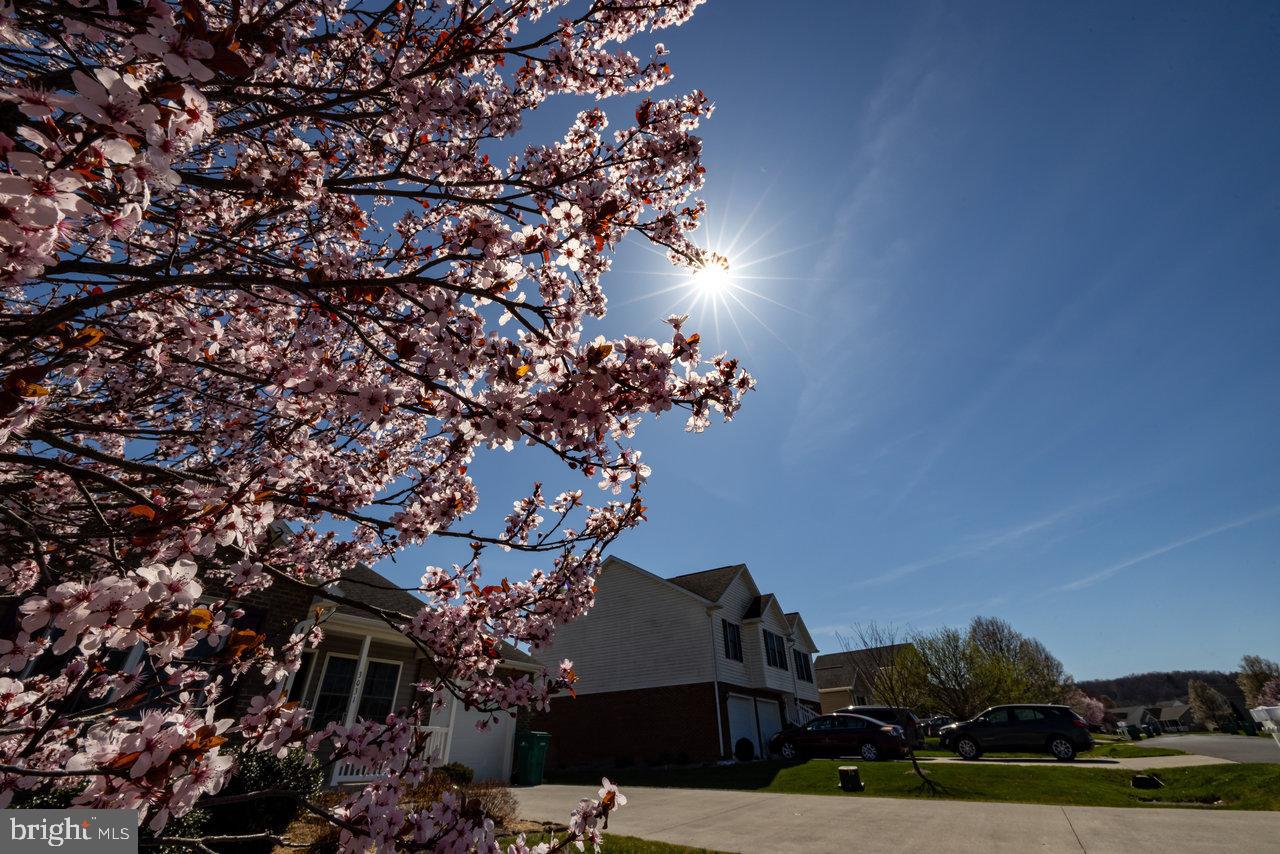 LEGION HILLS - Residential