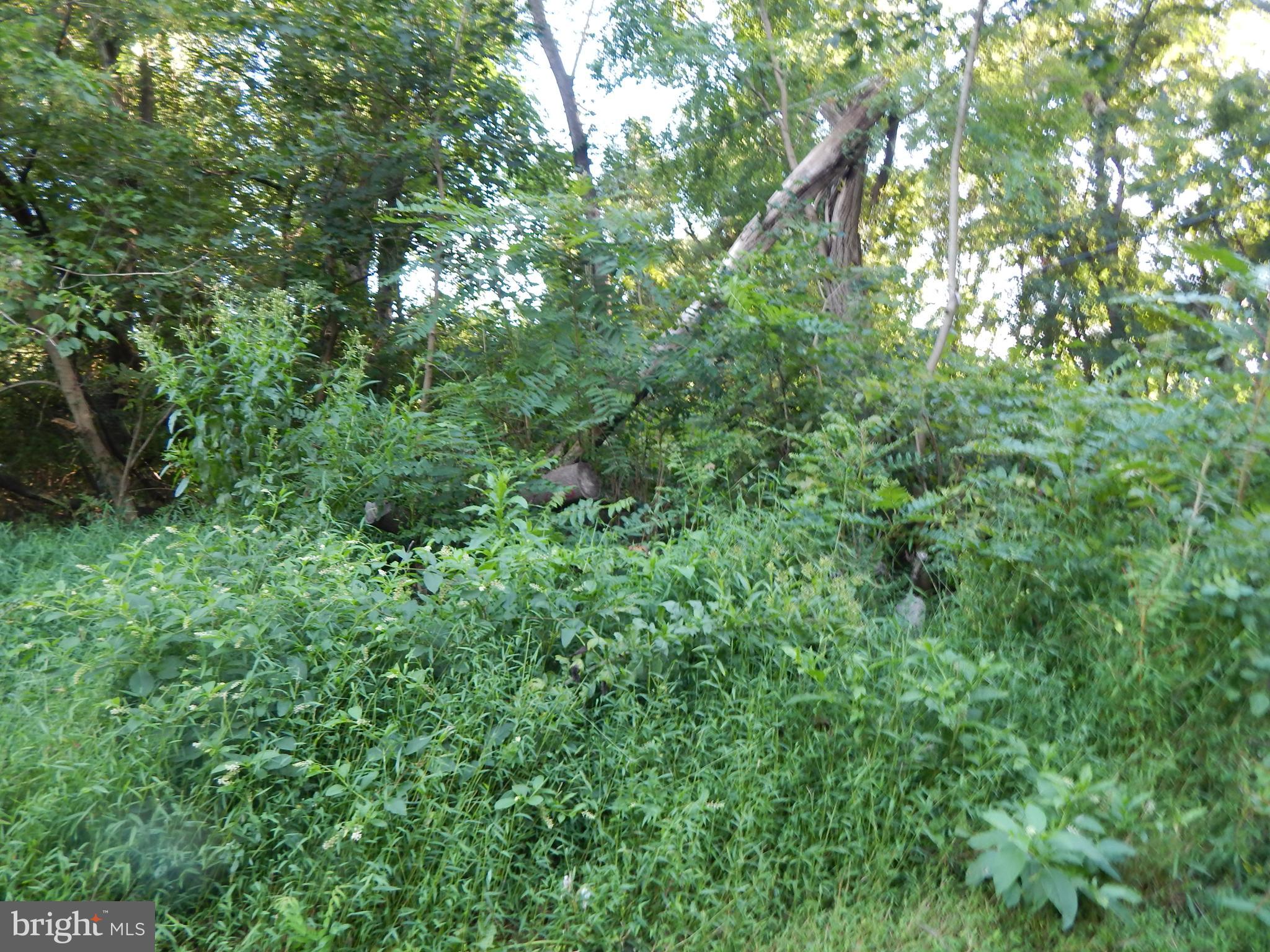 MECKLENBURG HEIGHTS - Residential