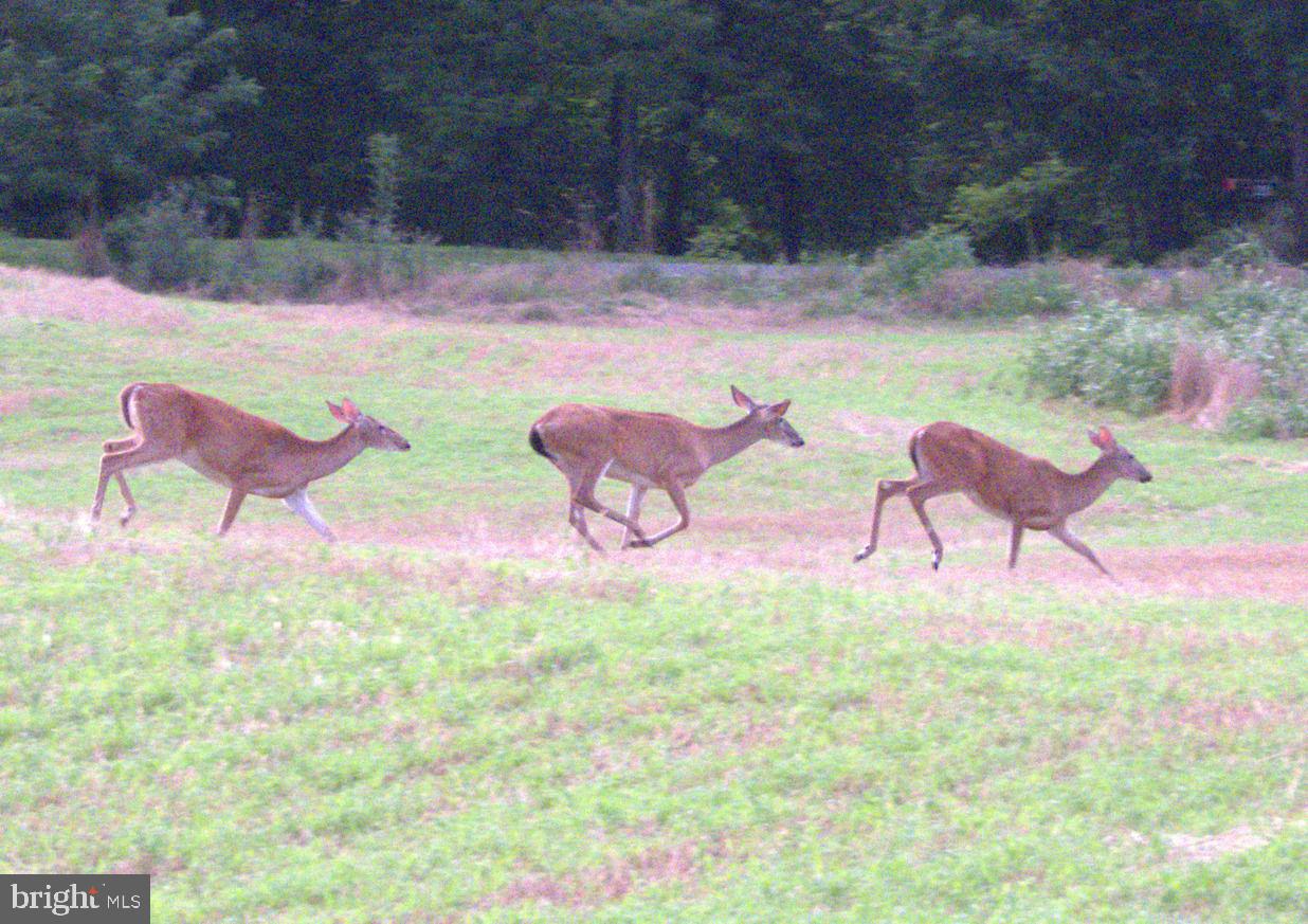 MECKLENBURG HEIGHTS - Residential