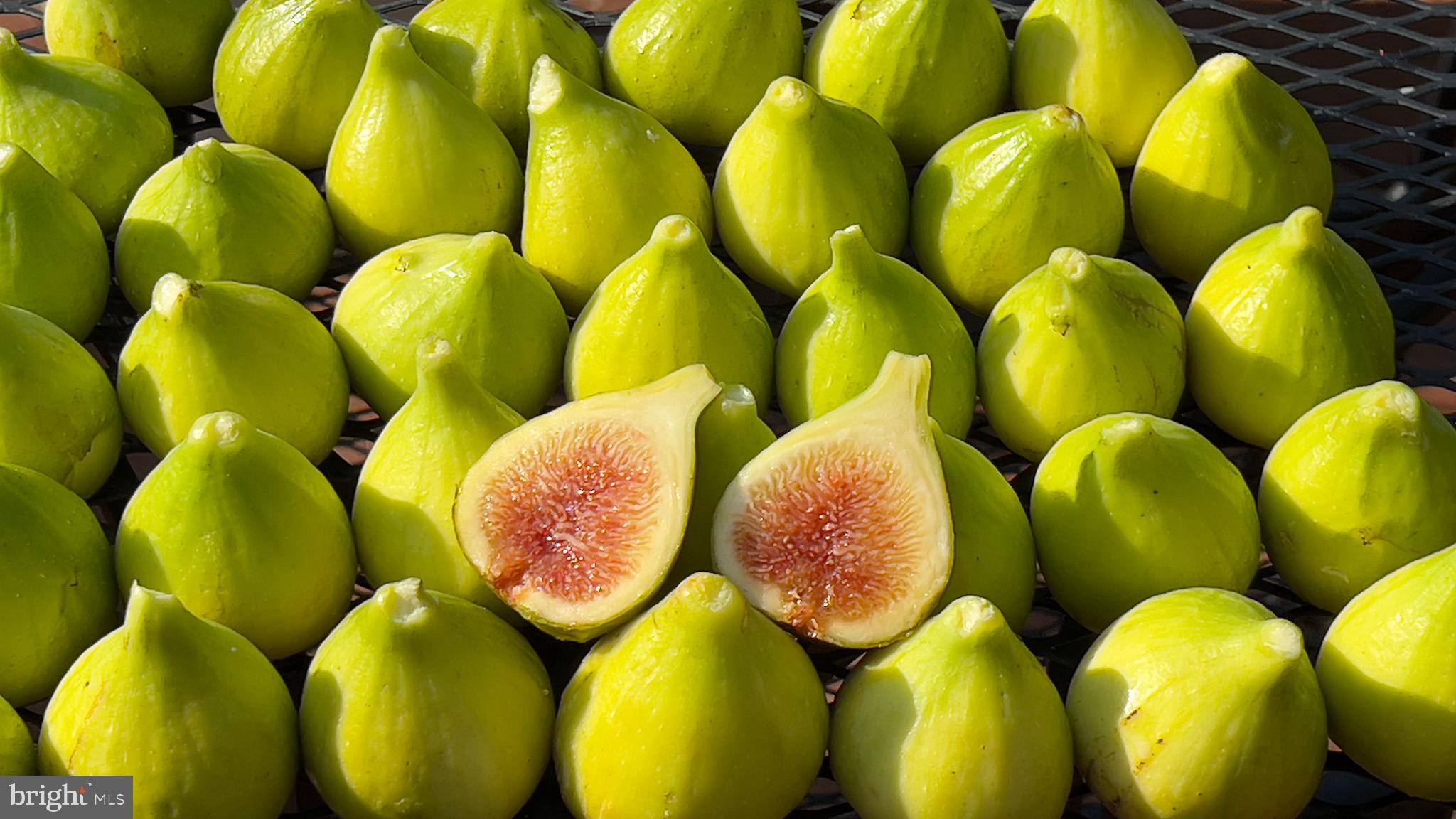 SHERWOOD - Residential