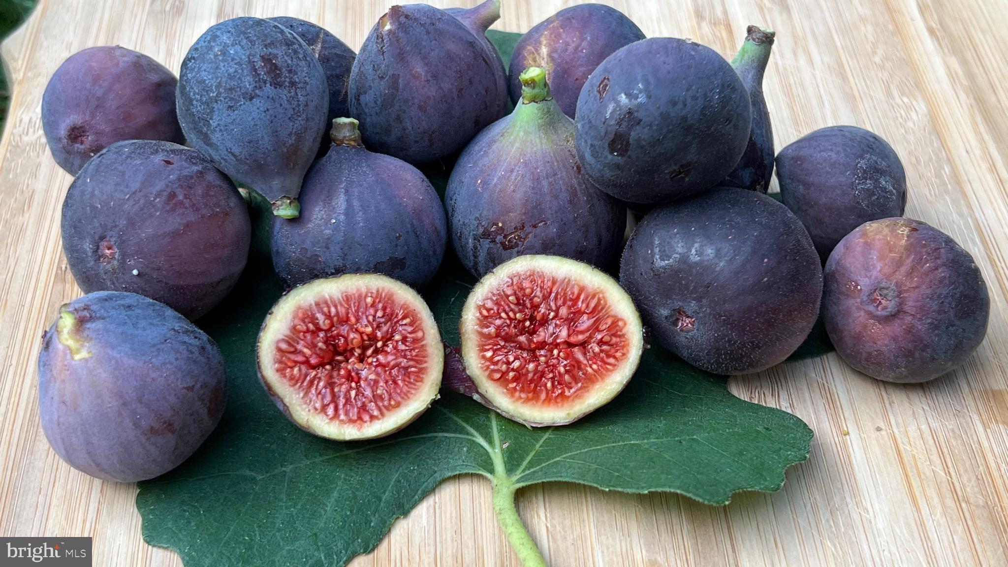 SHERWOOD - Residential