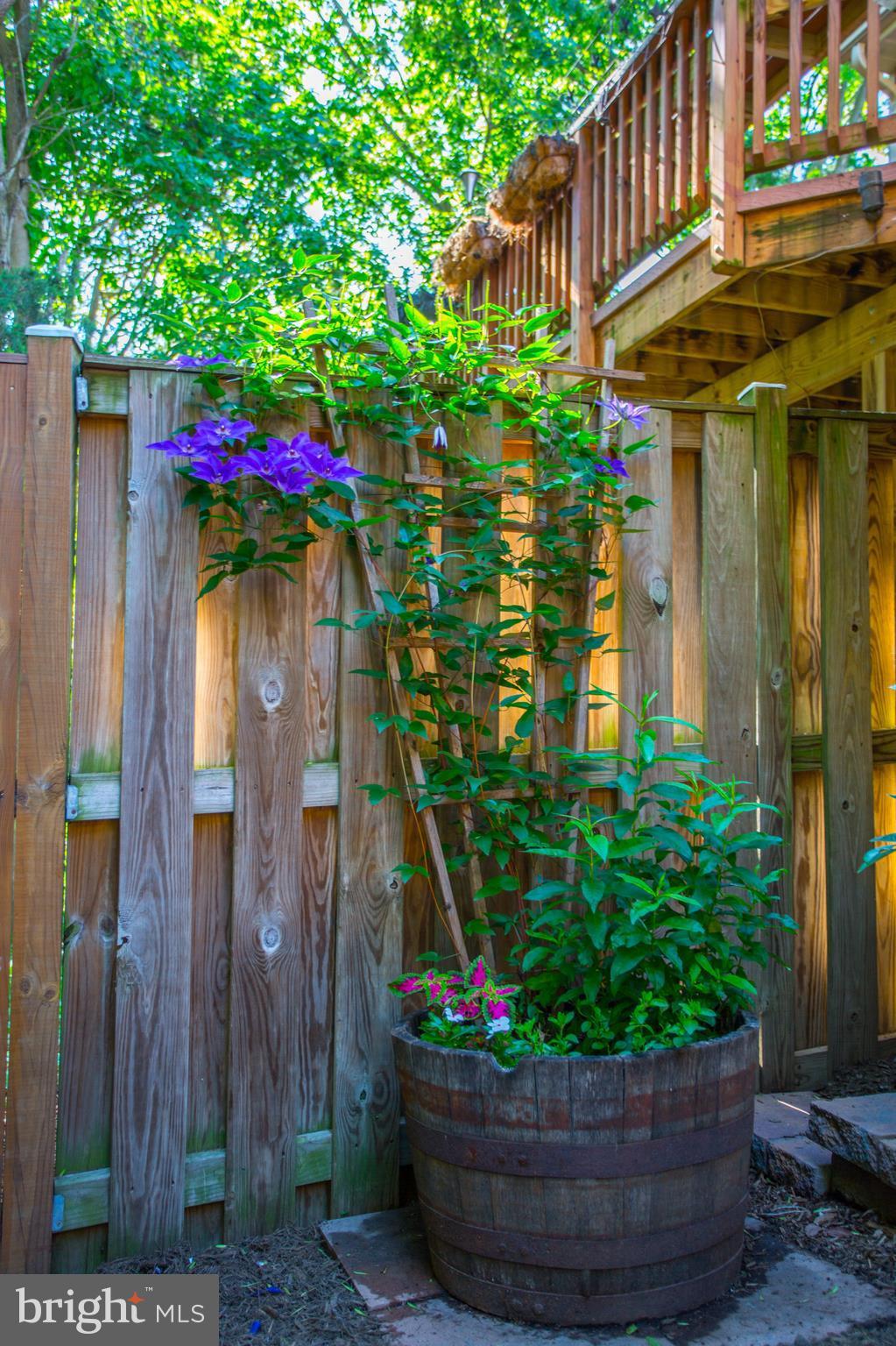 SOUTH RIDING - Residential