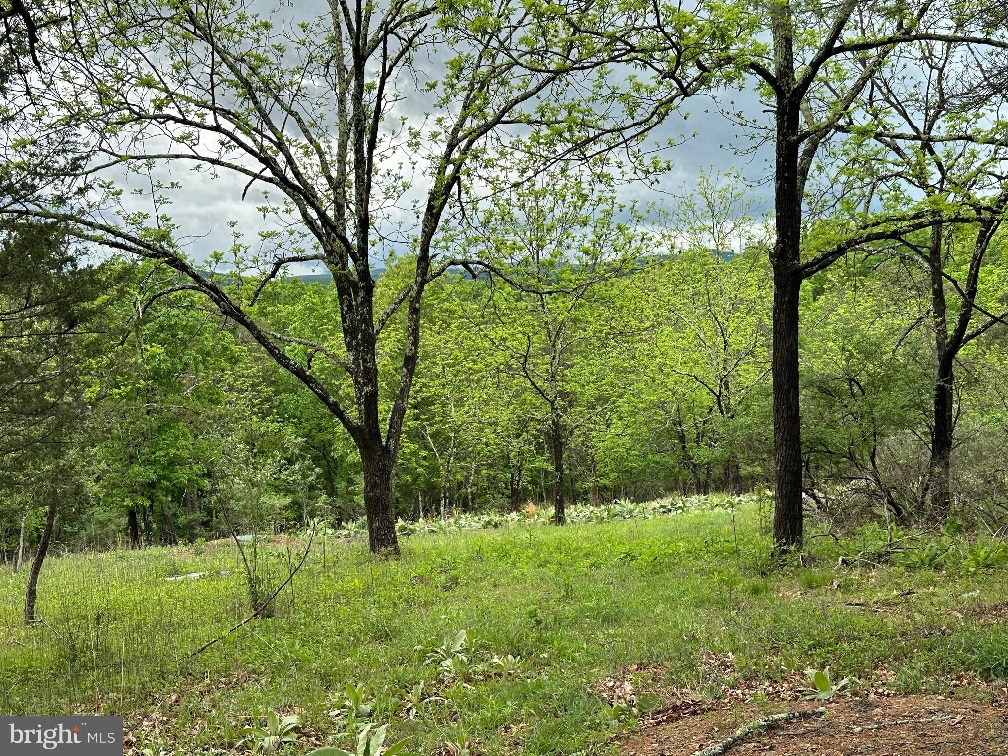 CRYSTAL VALLEY ESTATES - Land