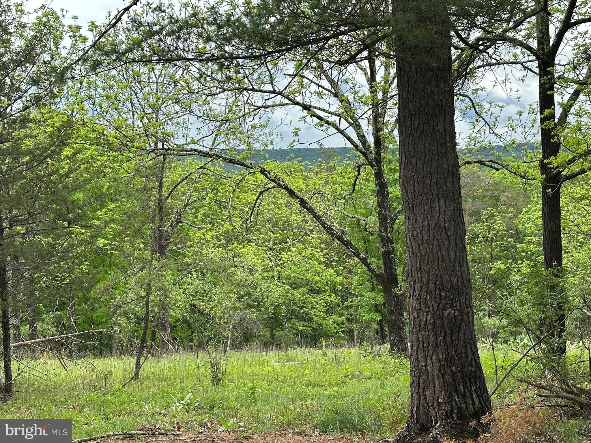 CRYSTAL VALLEY ESTATES - Land