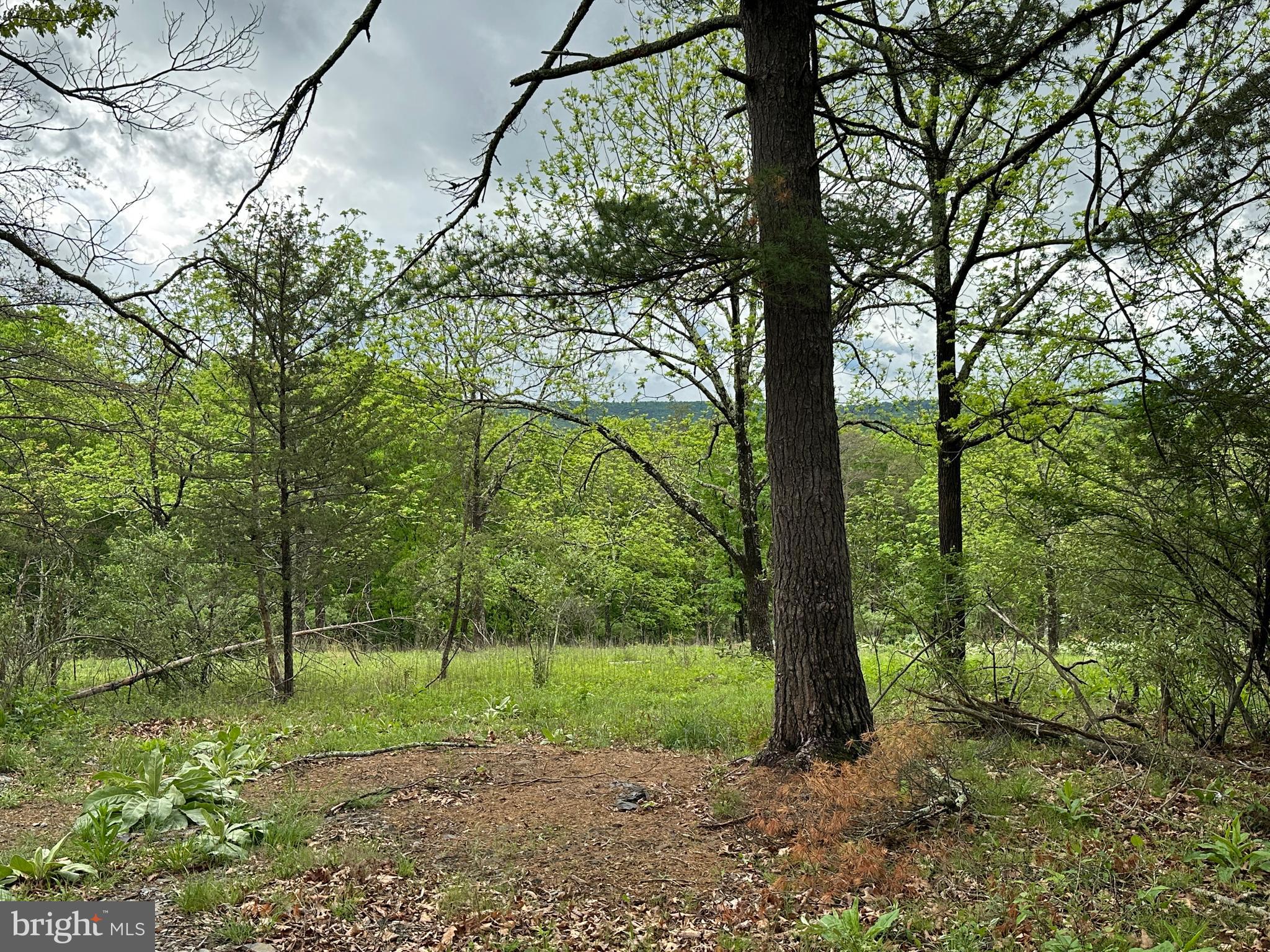 CRYSTAL VALLEY ESTATES - Land