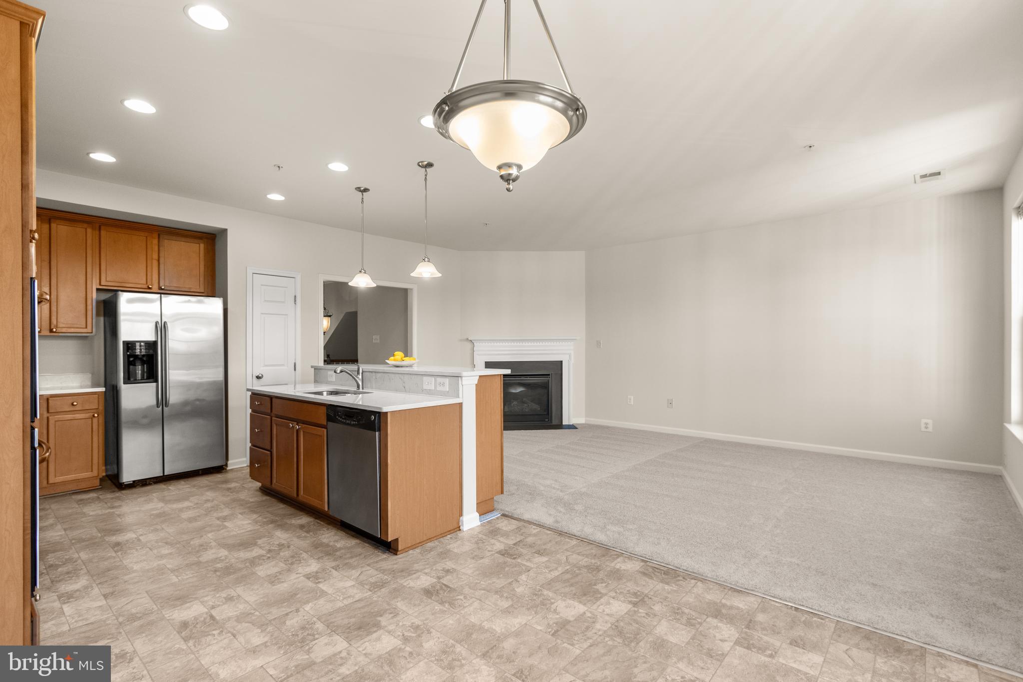 THE POINTE AT VIRGINIA LANDING - Residential