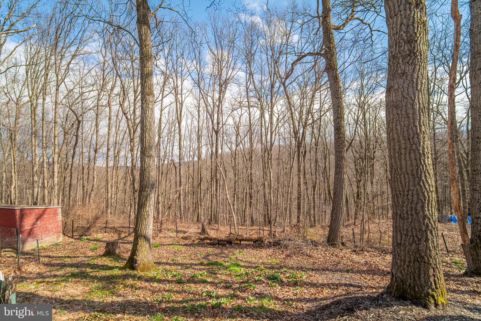 LOWER WINDSOR TWP - Residential