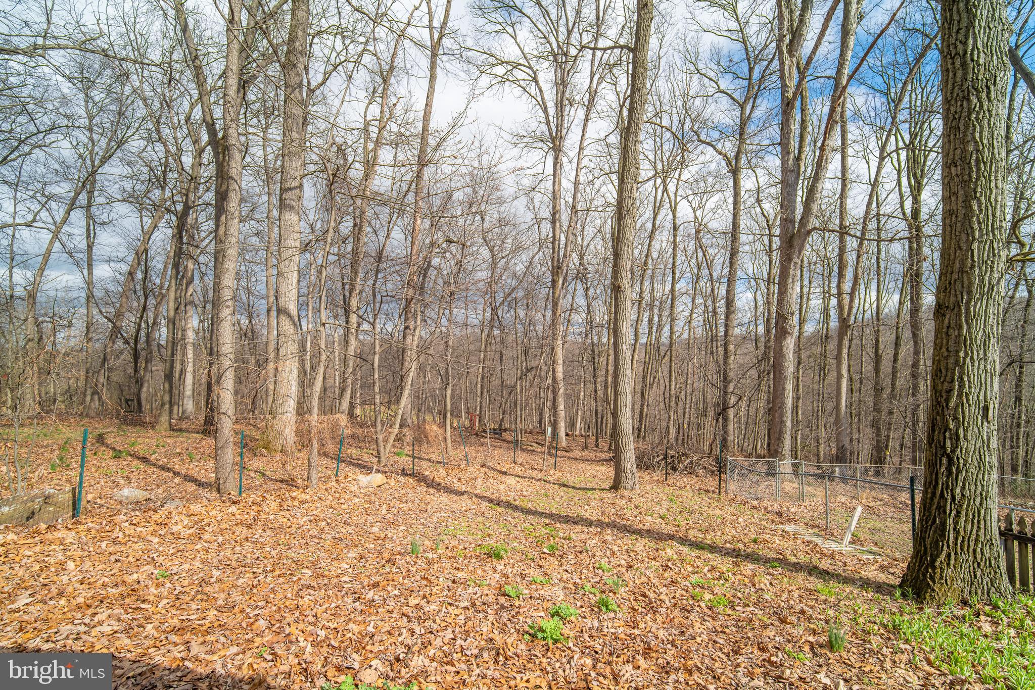 LOWER WINDSOR TWP - Residential